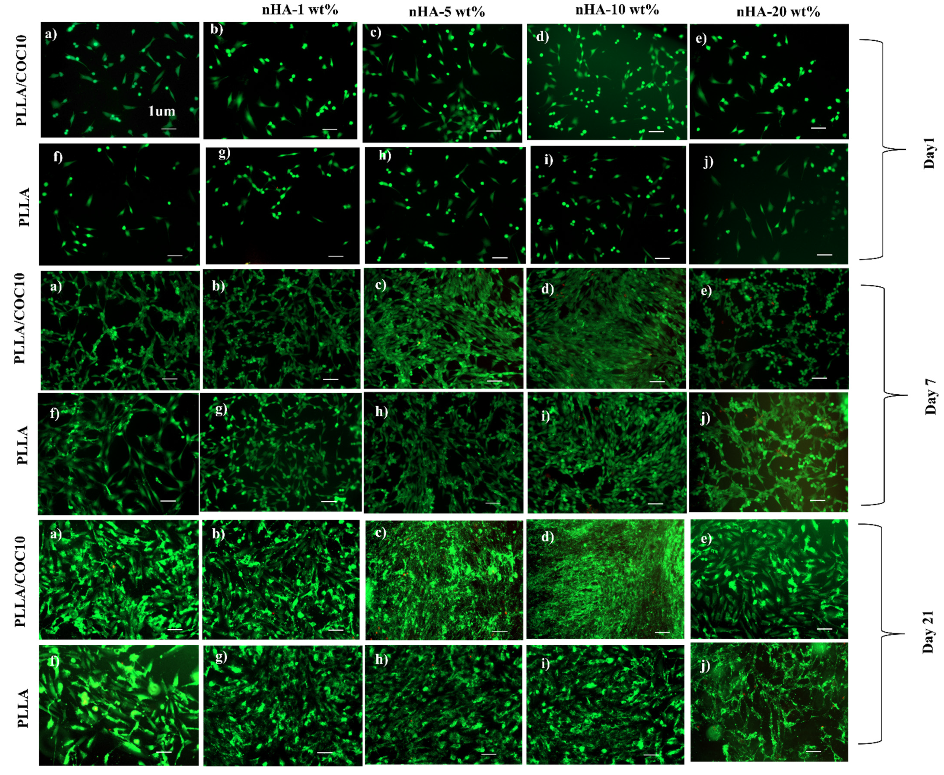 Polymers 13 03865 g008