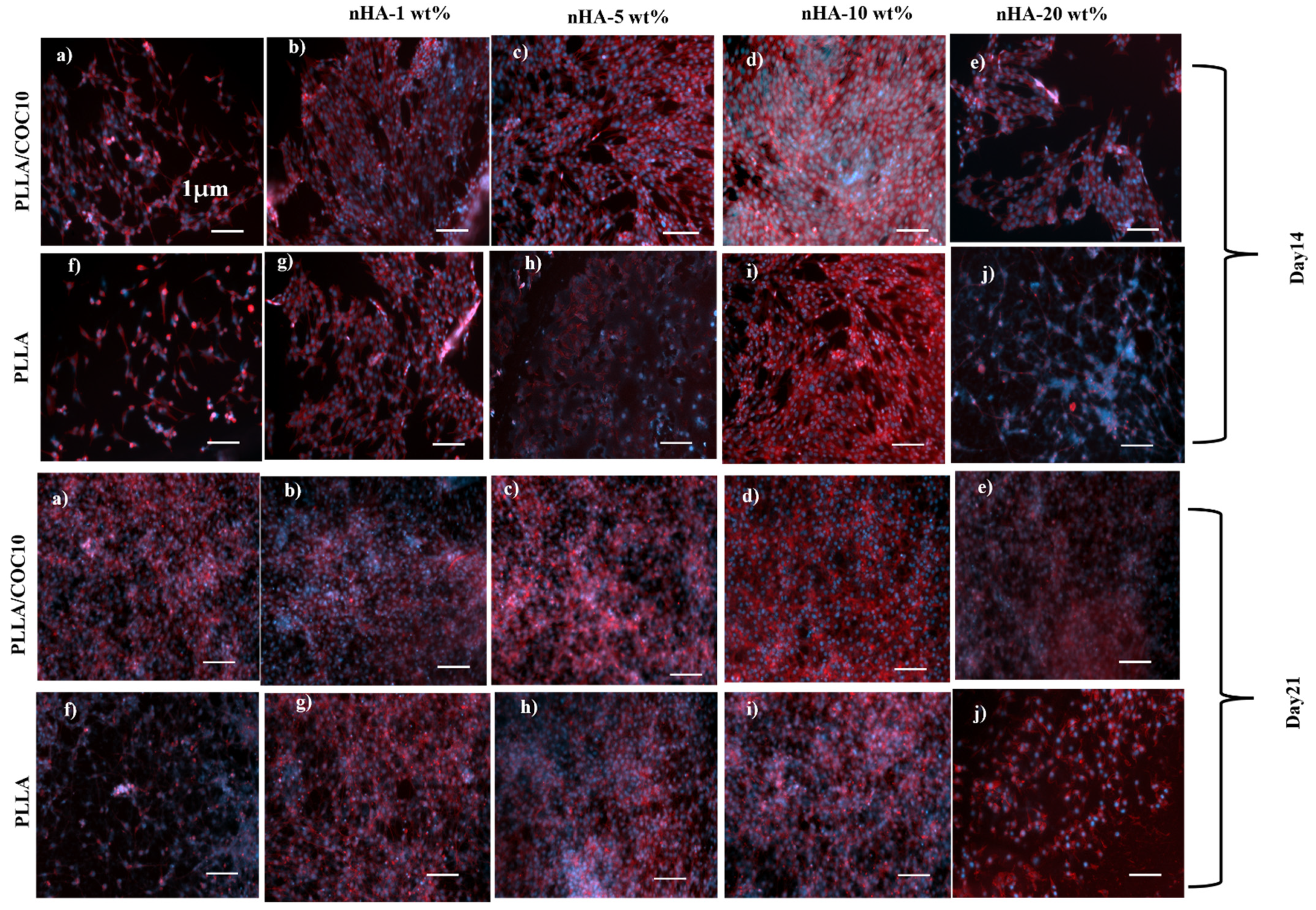 Polymers 13 03865 g010