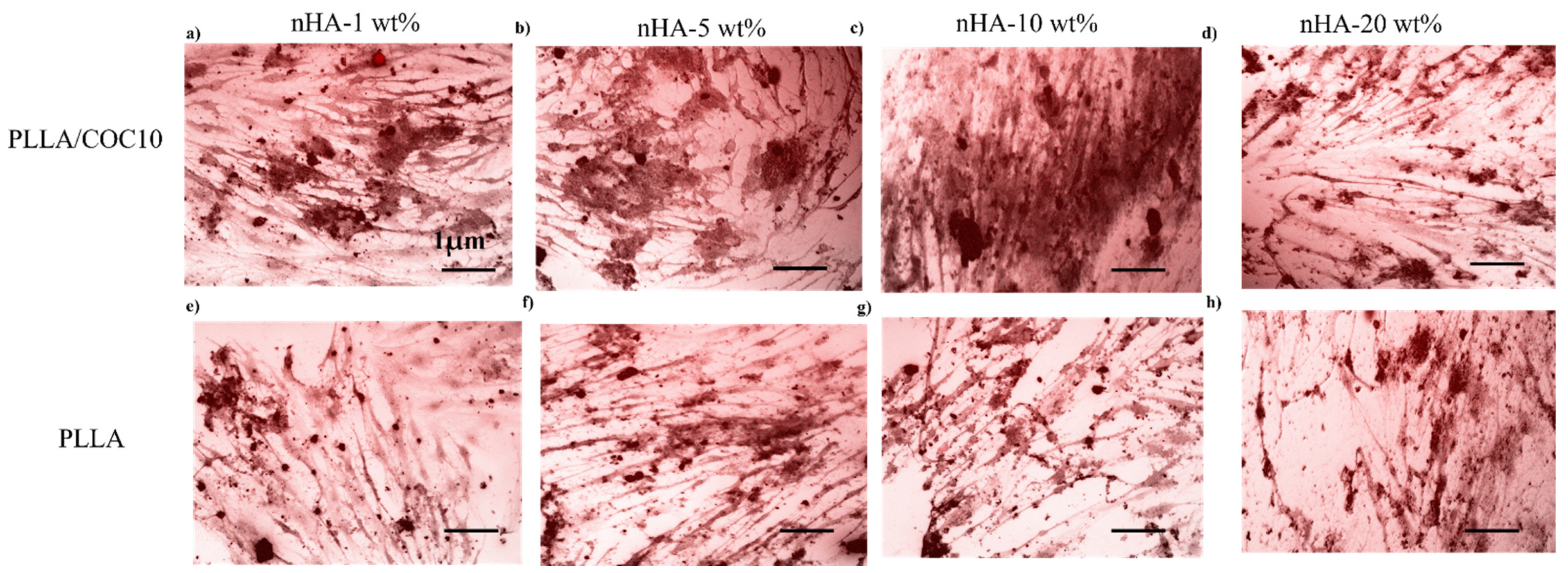 Polymers 13 03865 g013