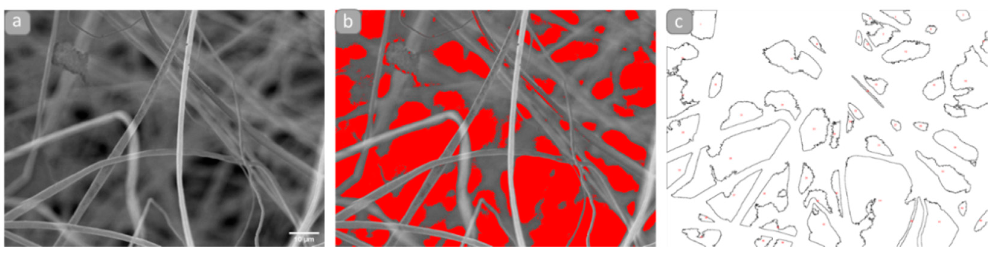 Polymers 13 03876 g002