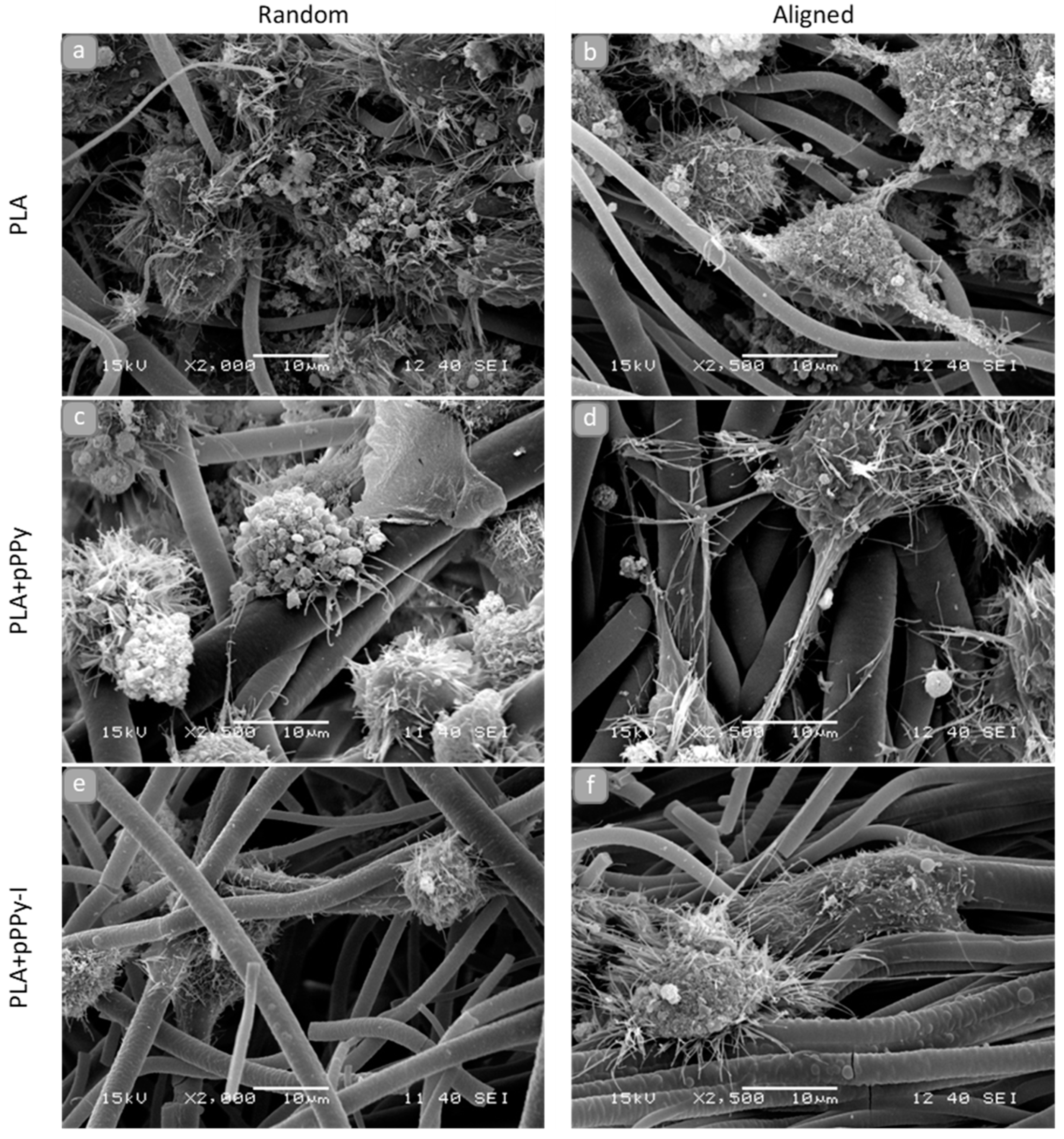 Polymers 13 03876 g012