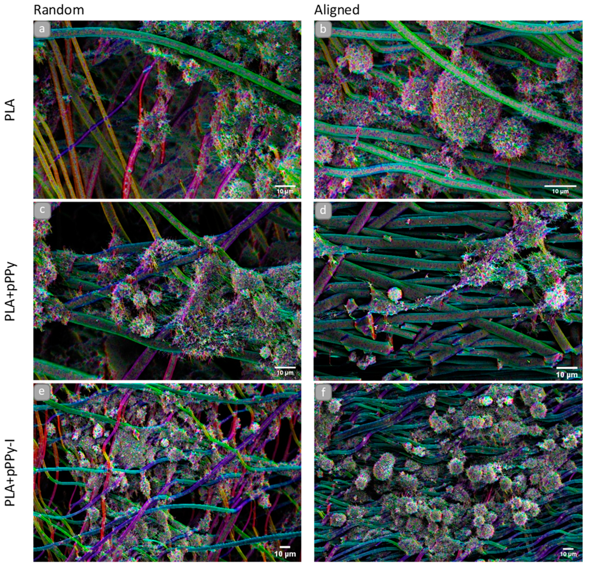 Polymers 13 03876 g013