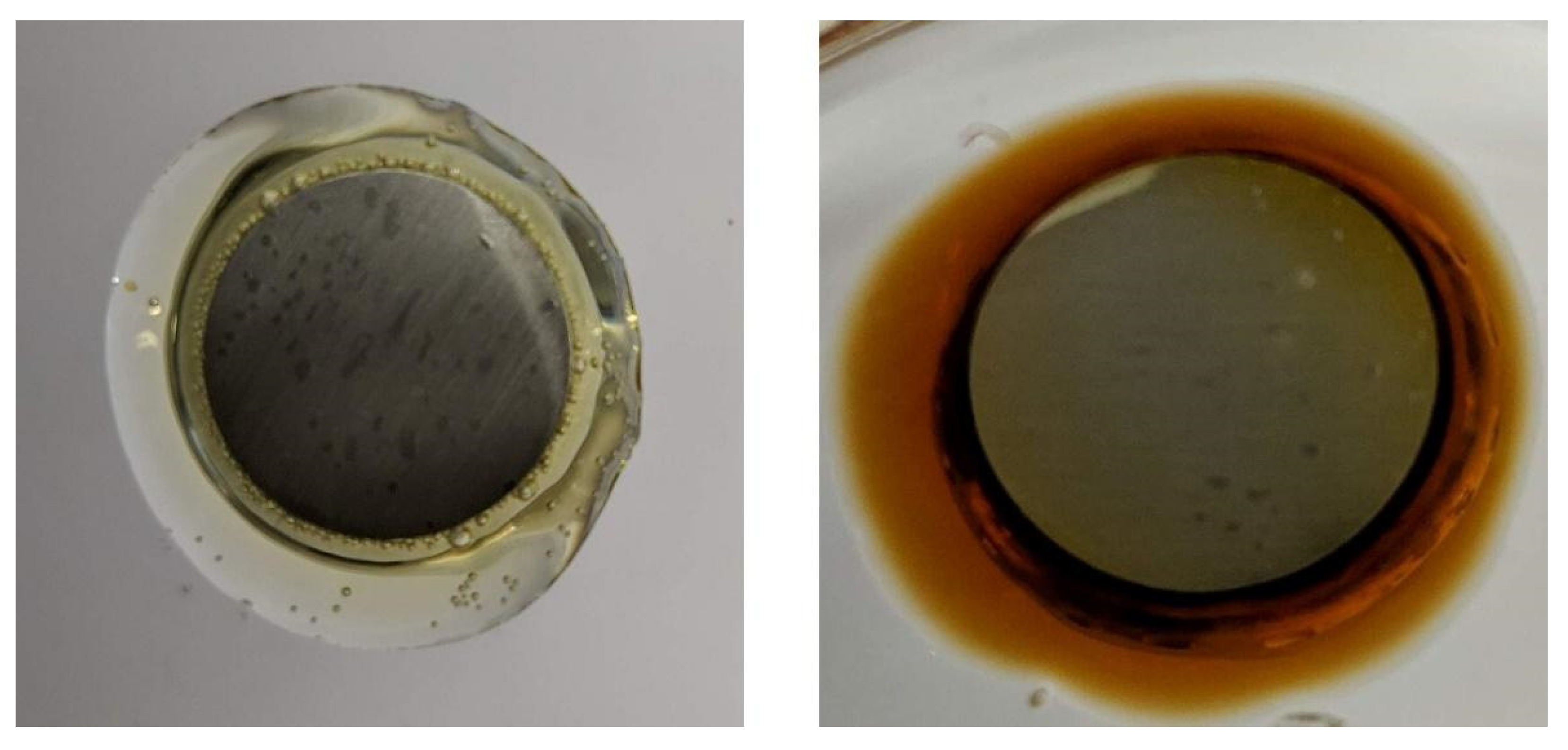 Polymers 13 03879 g009 550