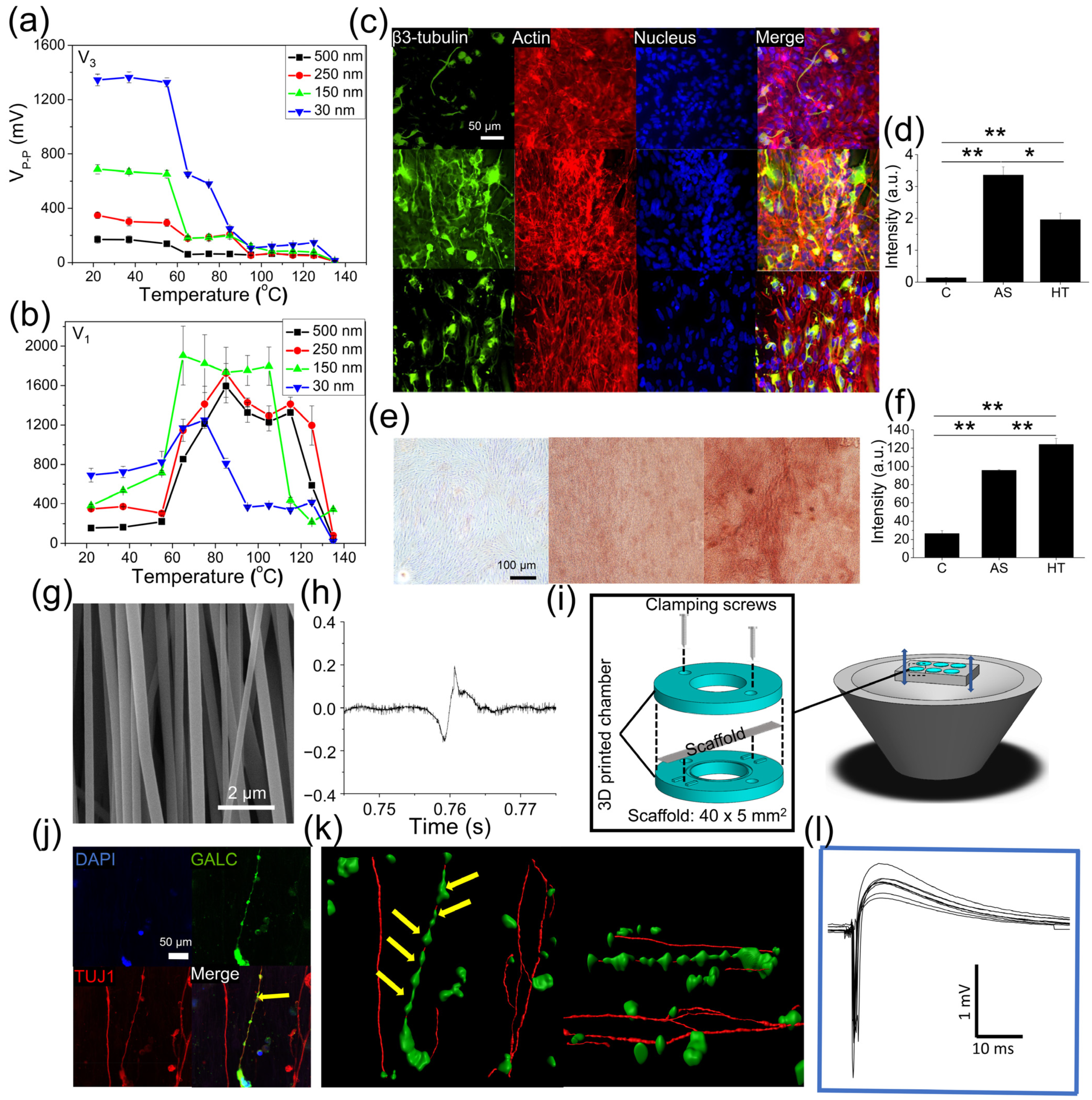 Polymers 13 03880 g004