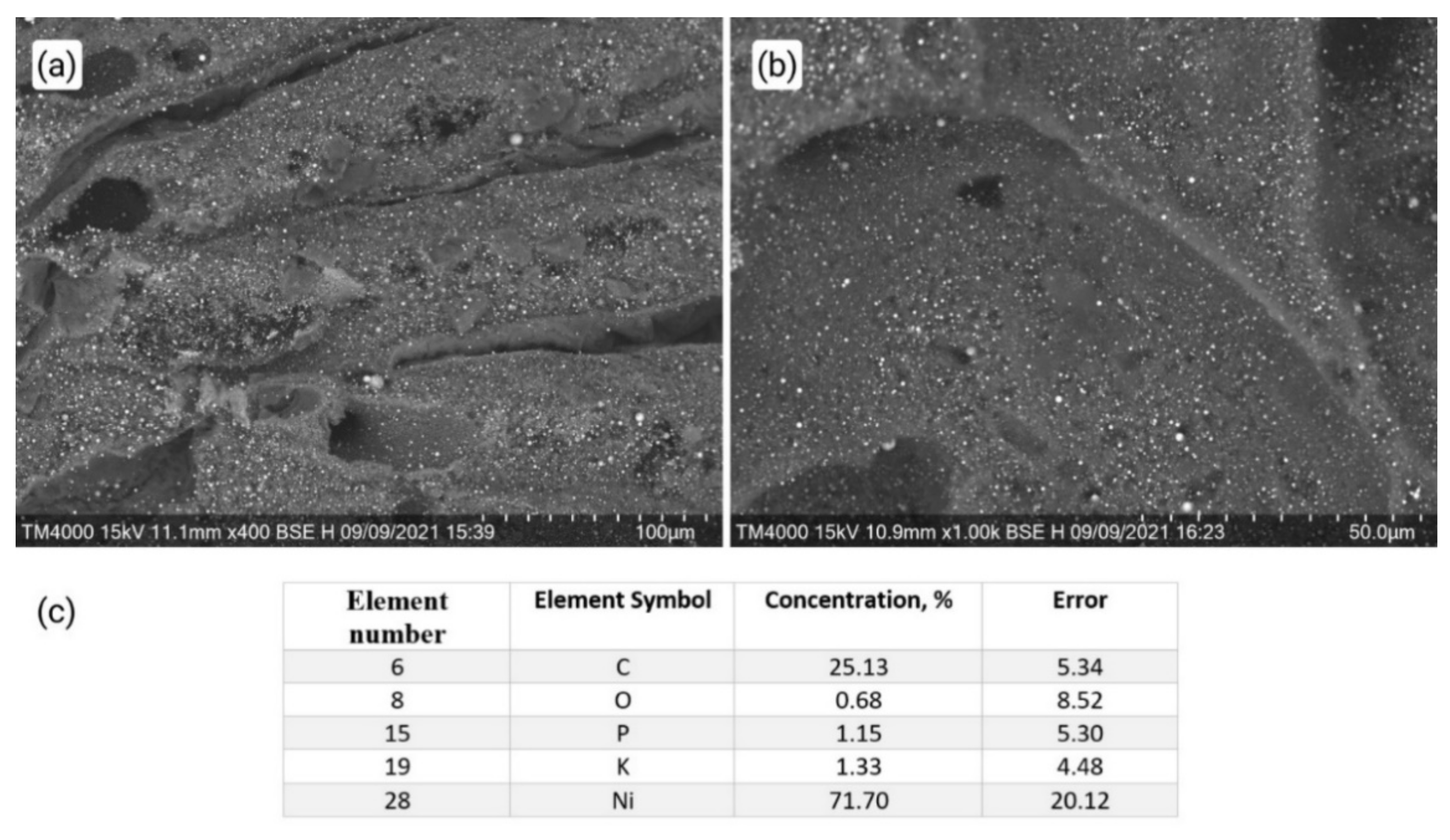 Polymers 13 03881 g003 550