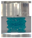 Polymers 13 03882 i012