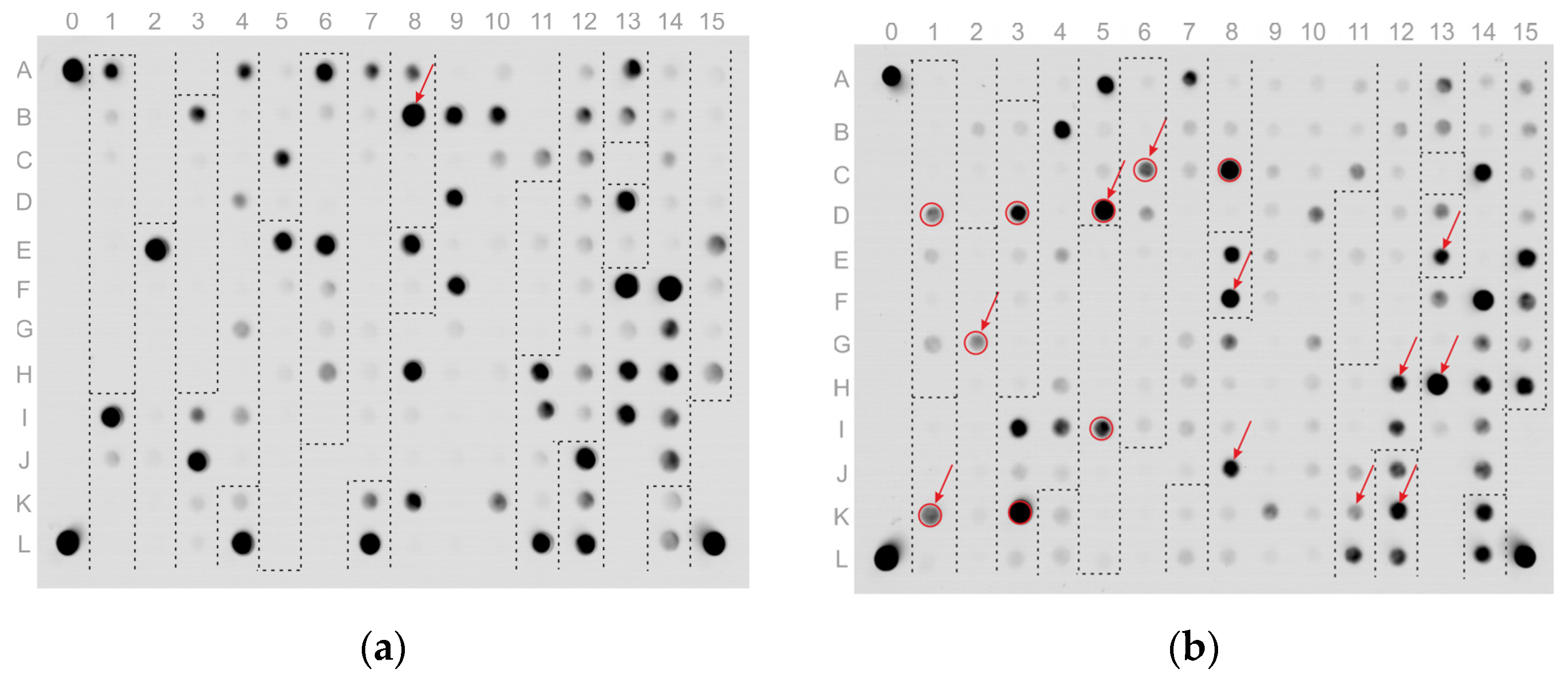 Polymers 13 03889 g003