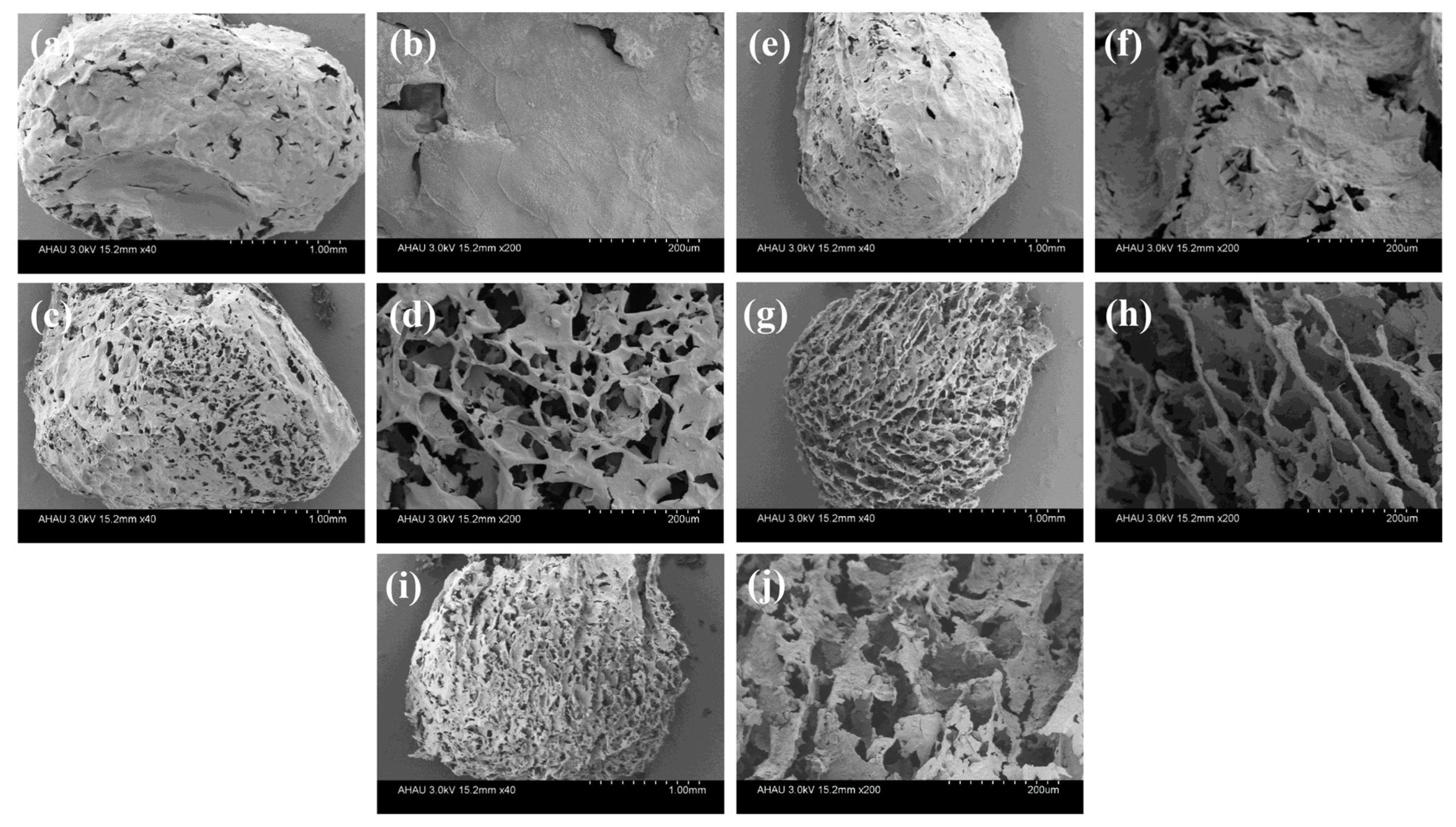 Polymers 13 03890 g003