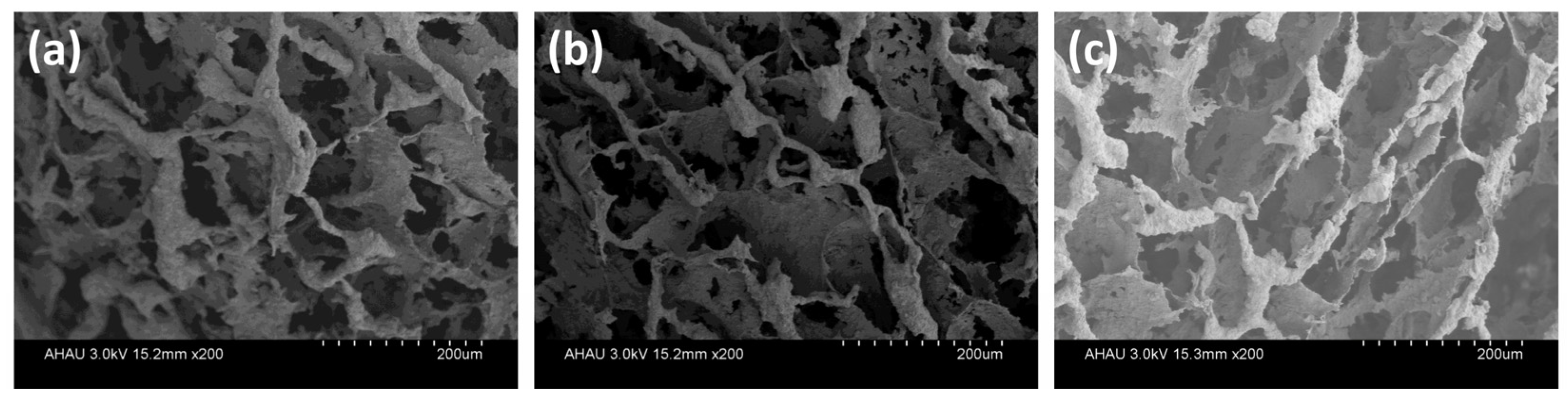 Polymers 13 03890 g011