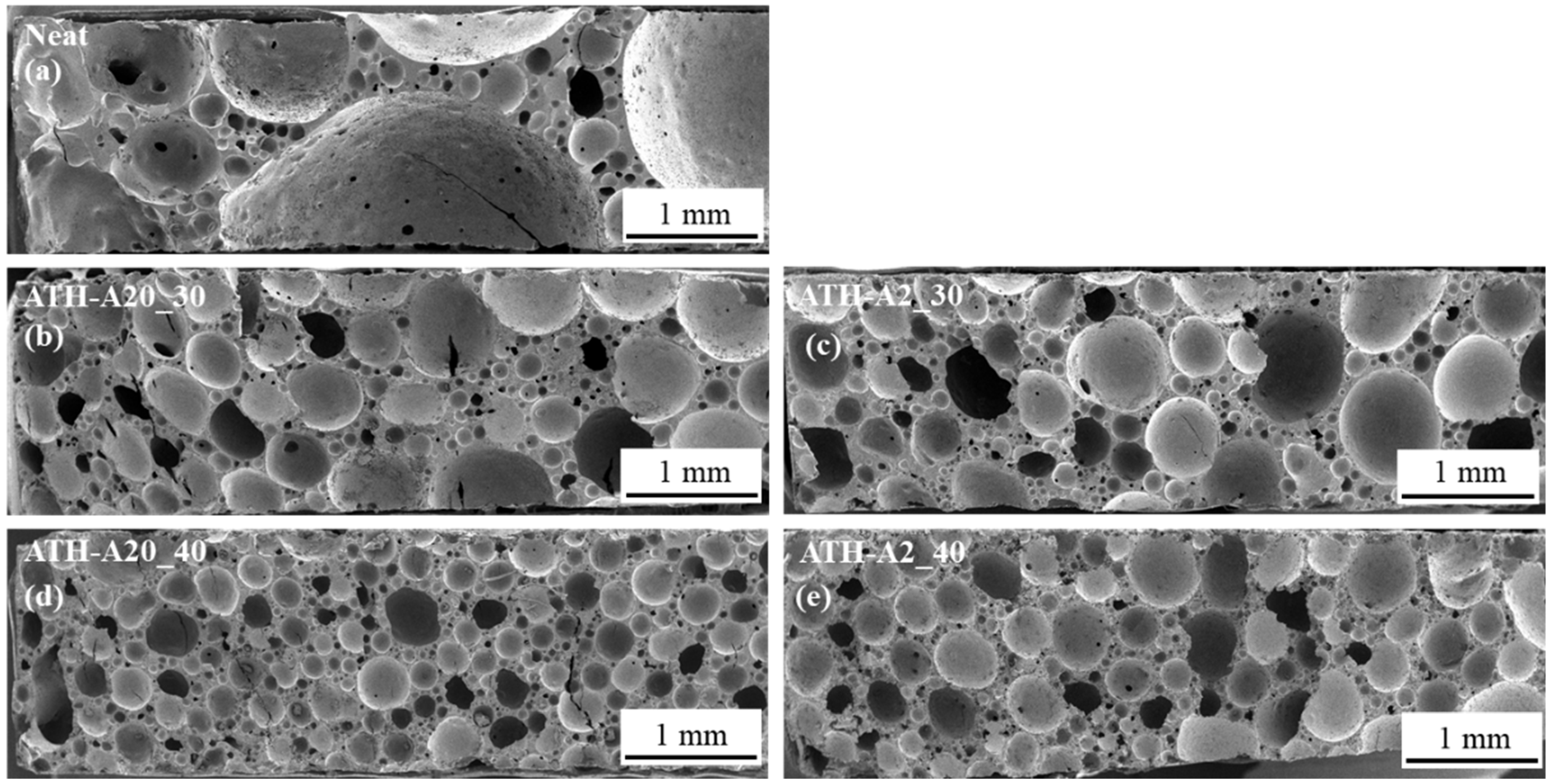 Polymers 13 03893 g002