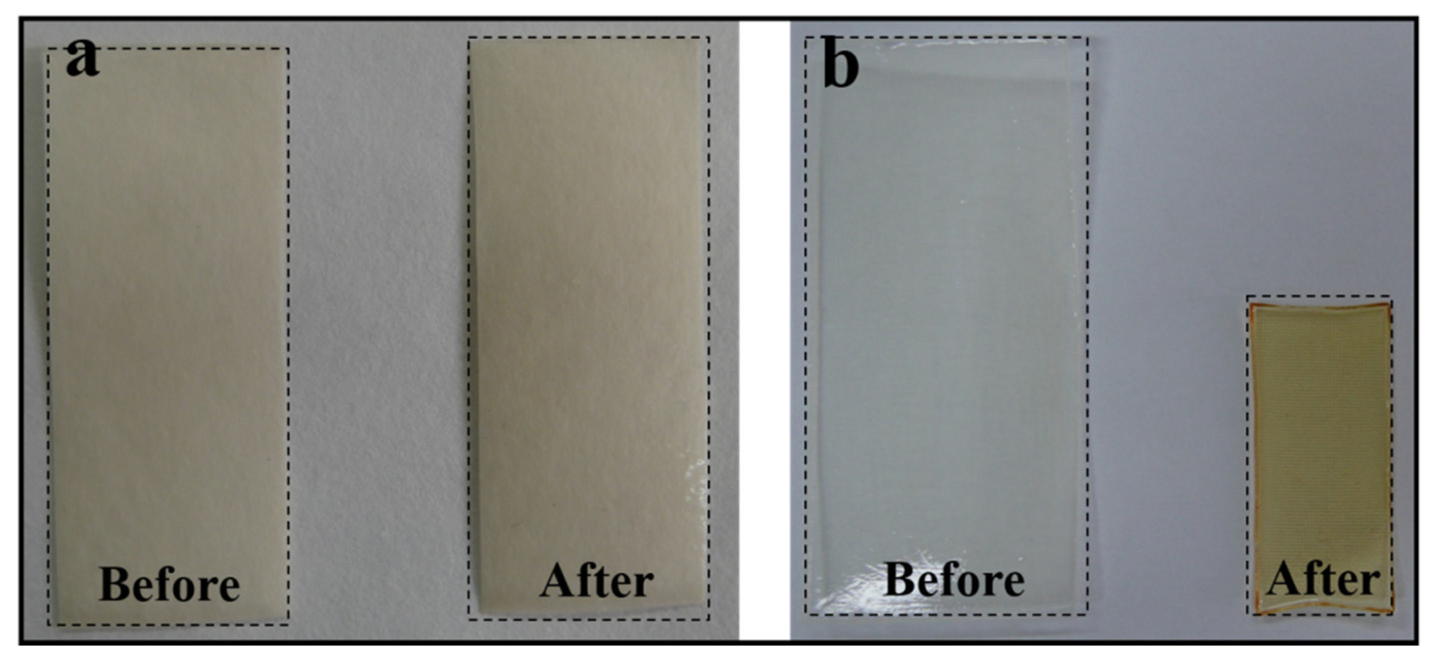 Polymers 13 03894 g004 Polymers 13 03894 g004
