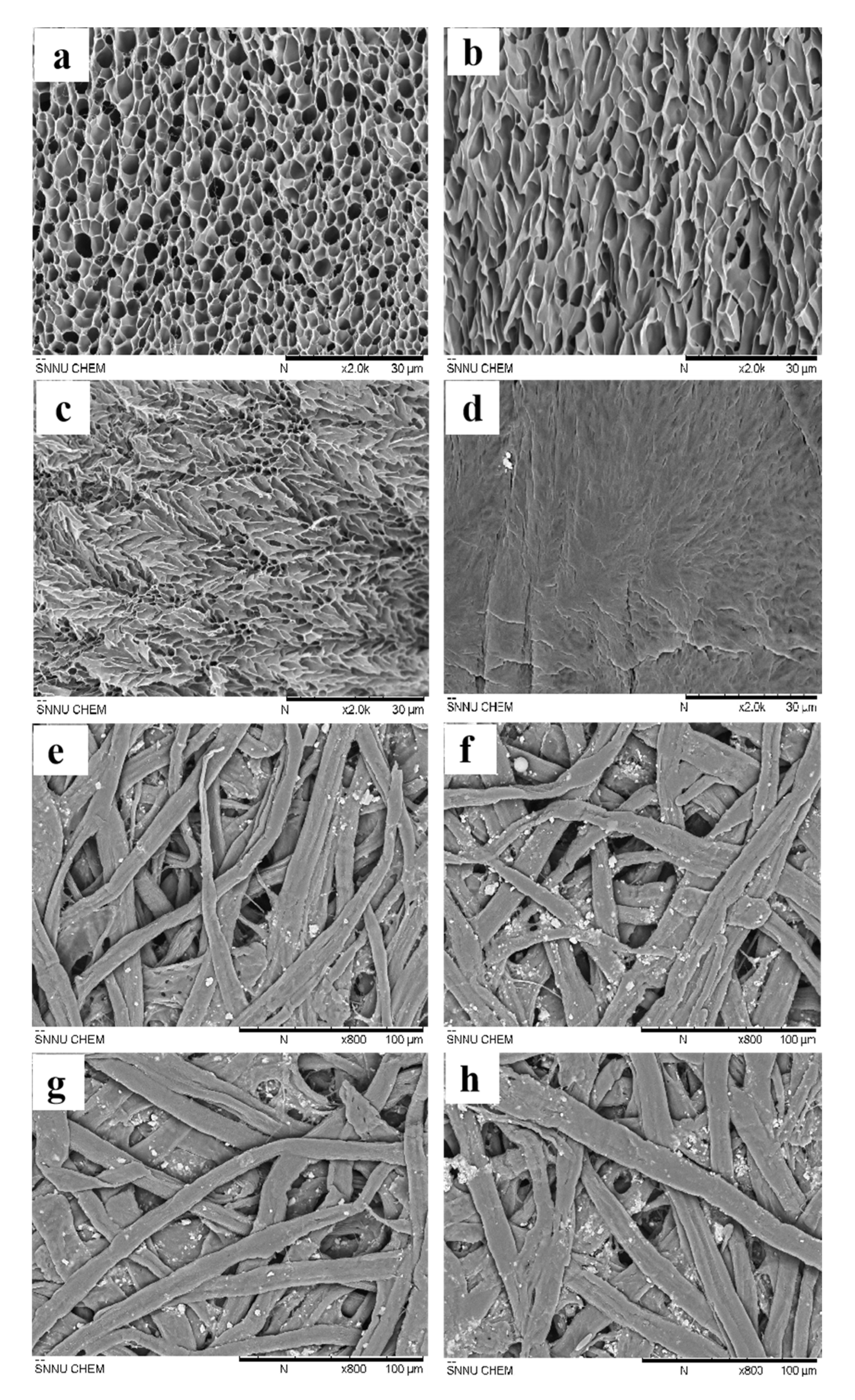 Polymers 13 03894 g006 Polymers 13 03894 g006