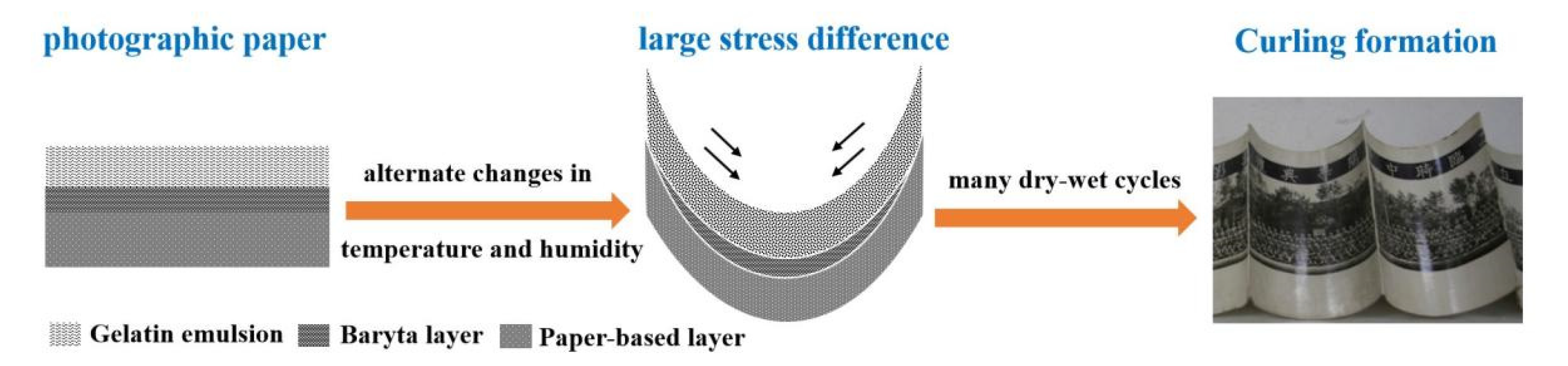 Polymers 13 03894 g007 Polymers 13 03894 g007