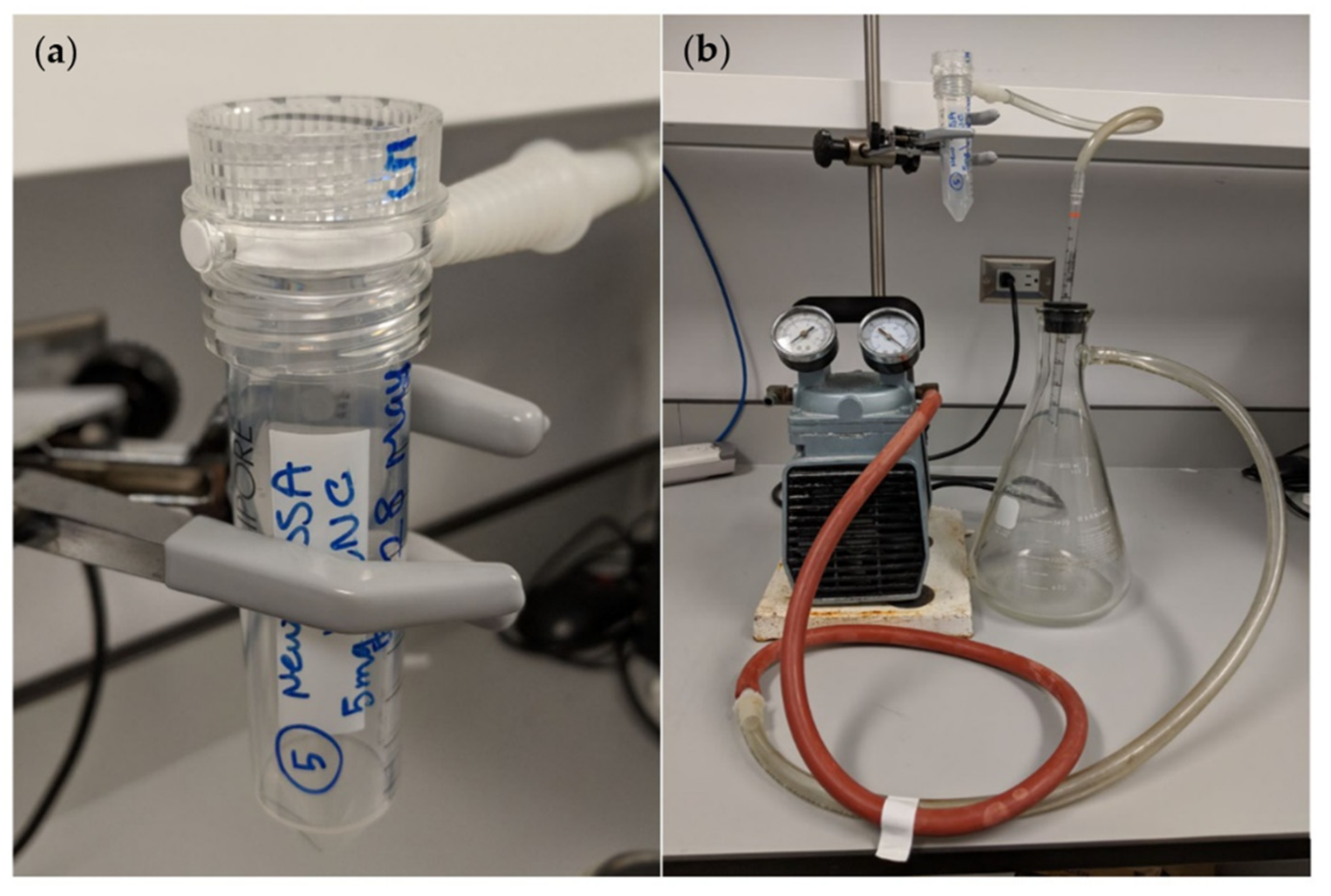 Polymers 13 03899 g001