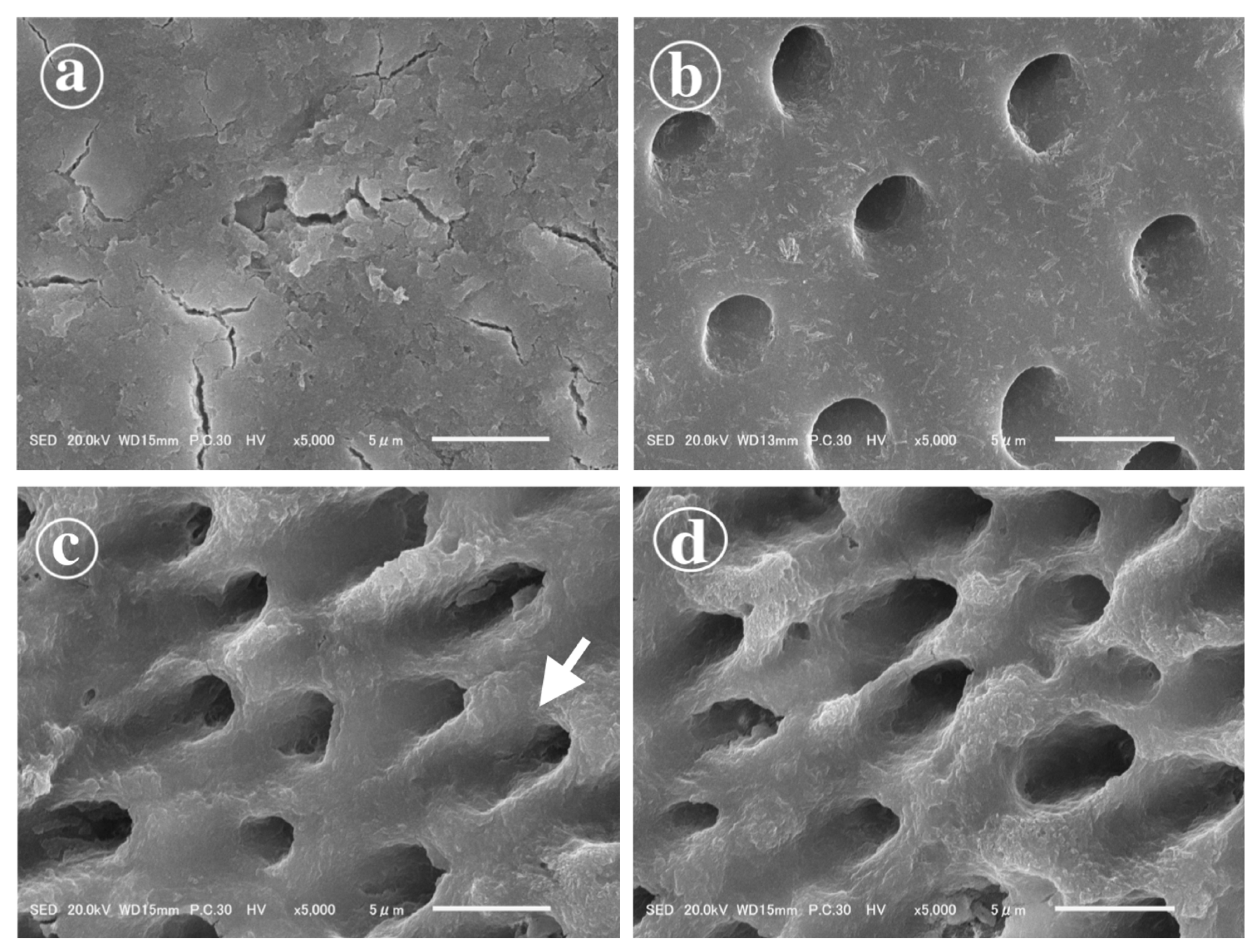 Polymers 13 03901 g002 550