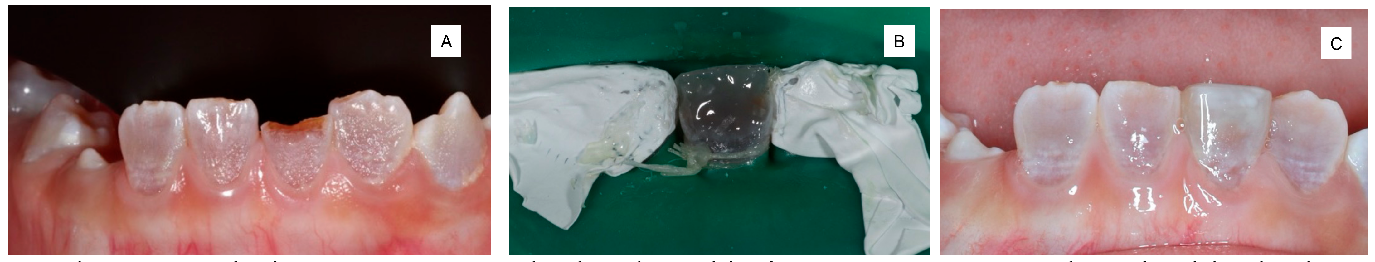 Polymers 13 03902 g001 550