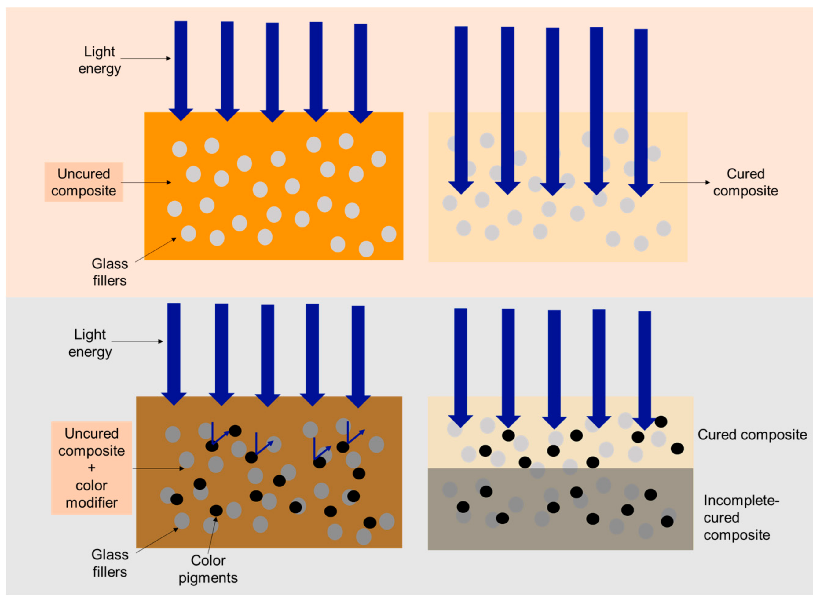 Polymers 13 03902 g007 550