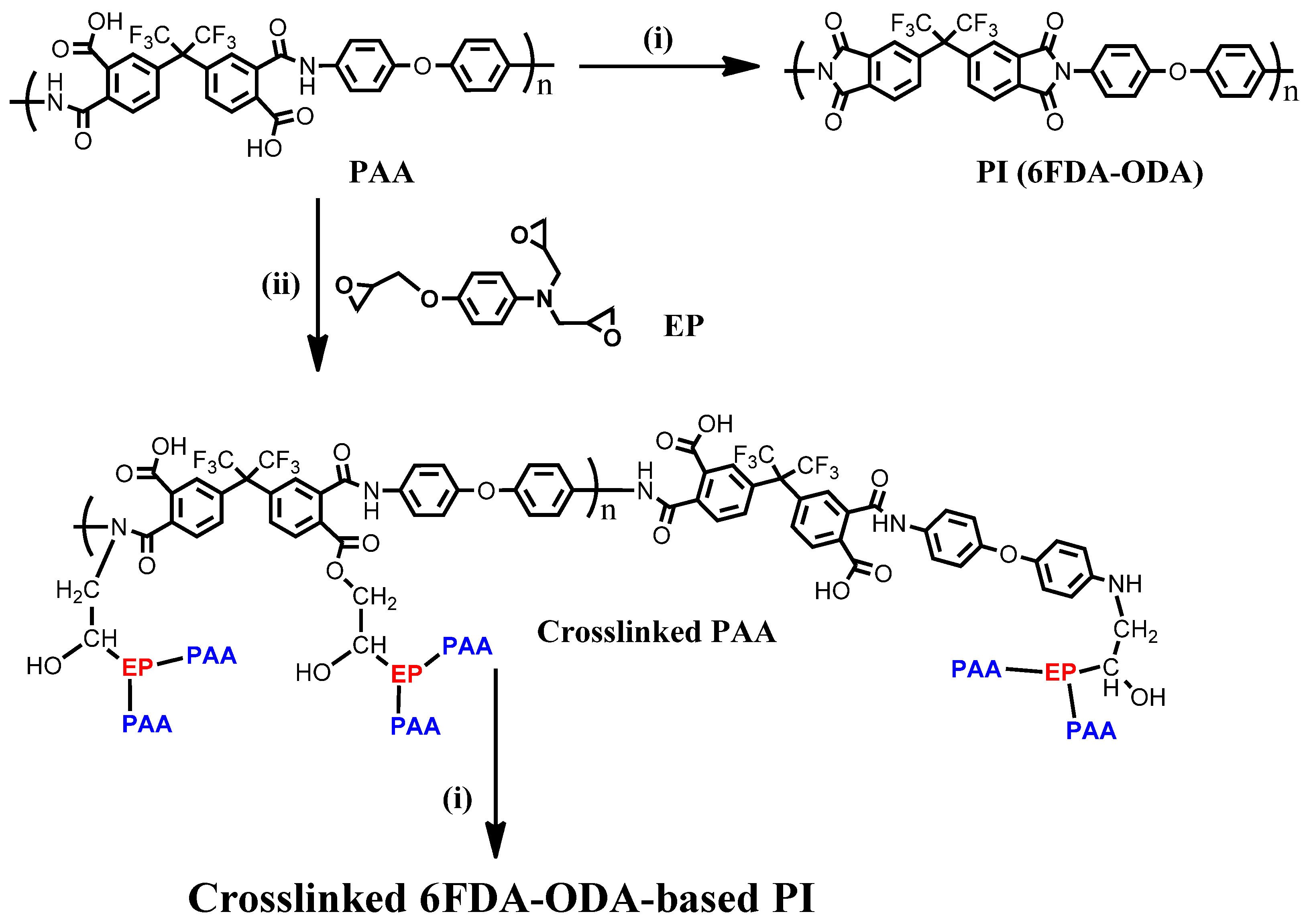 Polymers 13 03903 sch001 550