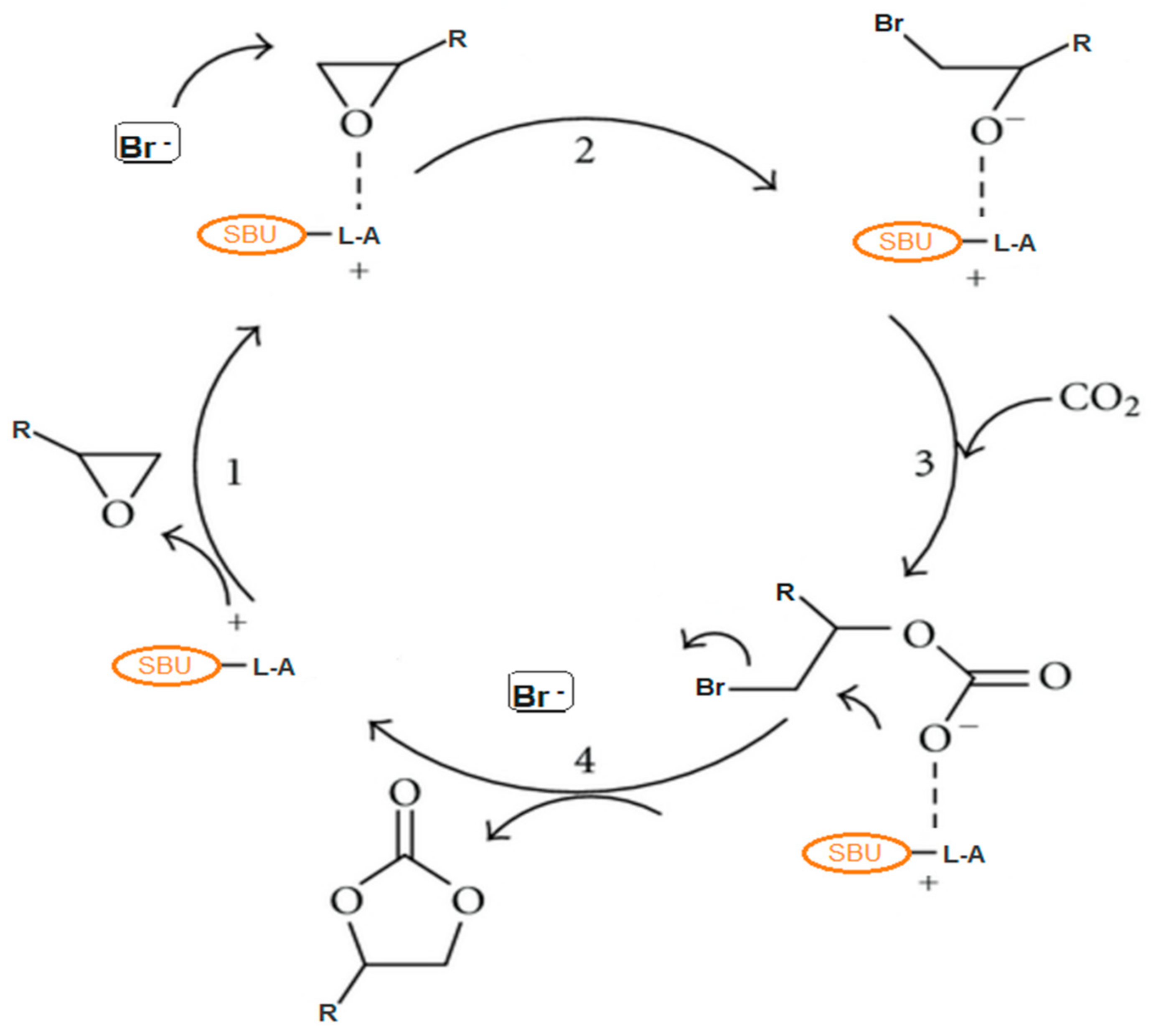 Polymers 13 03905 g004