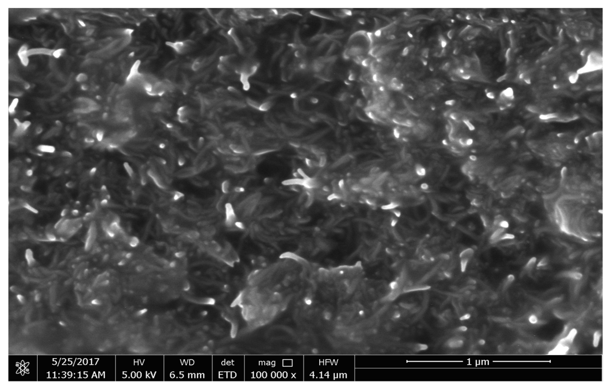 Polymers 13 03907 g004 550