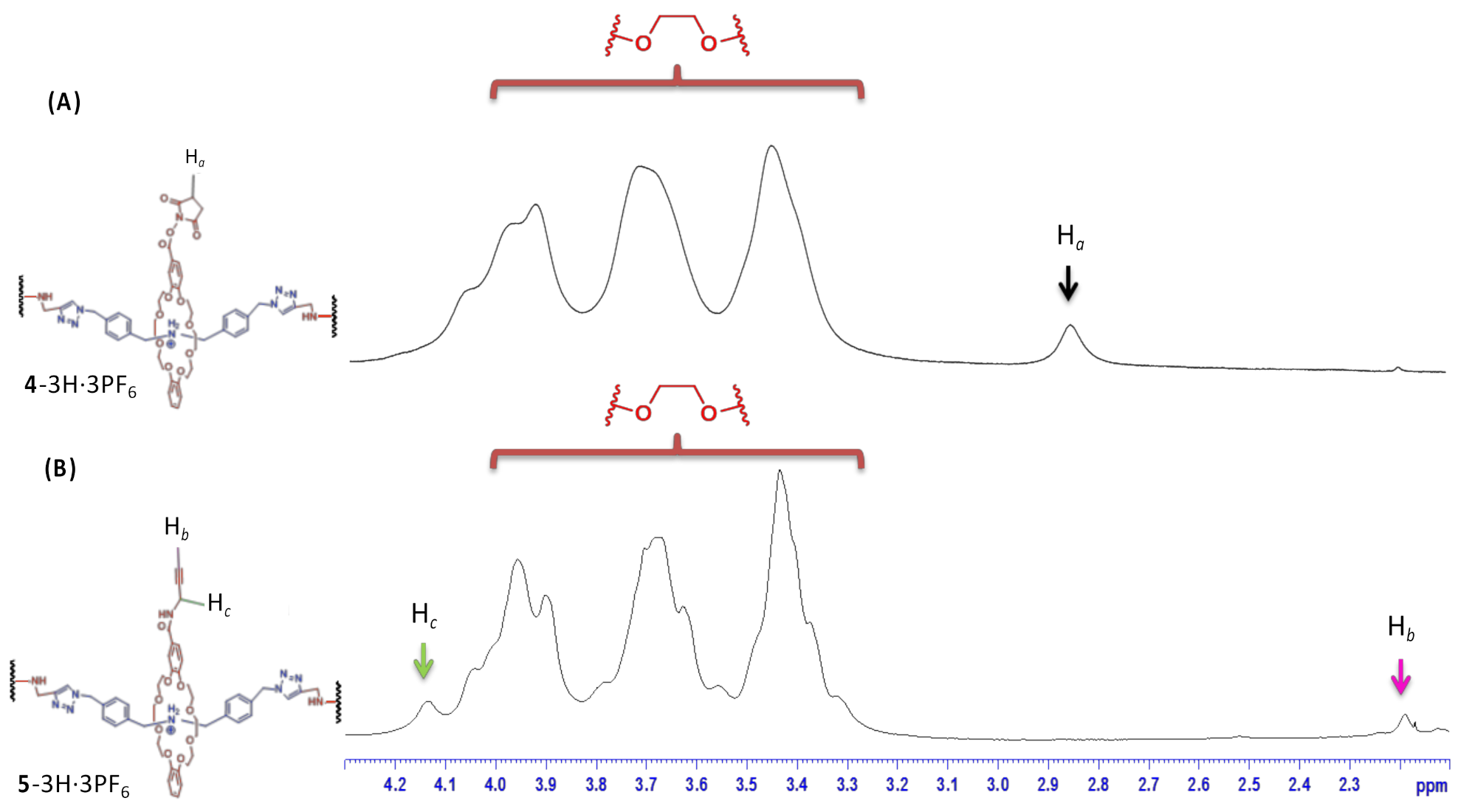Polymers 13 03909 g003