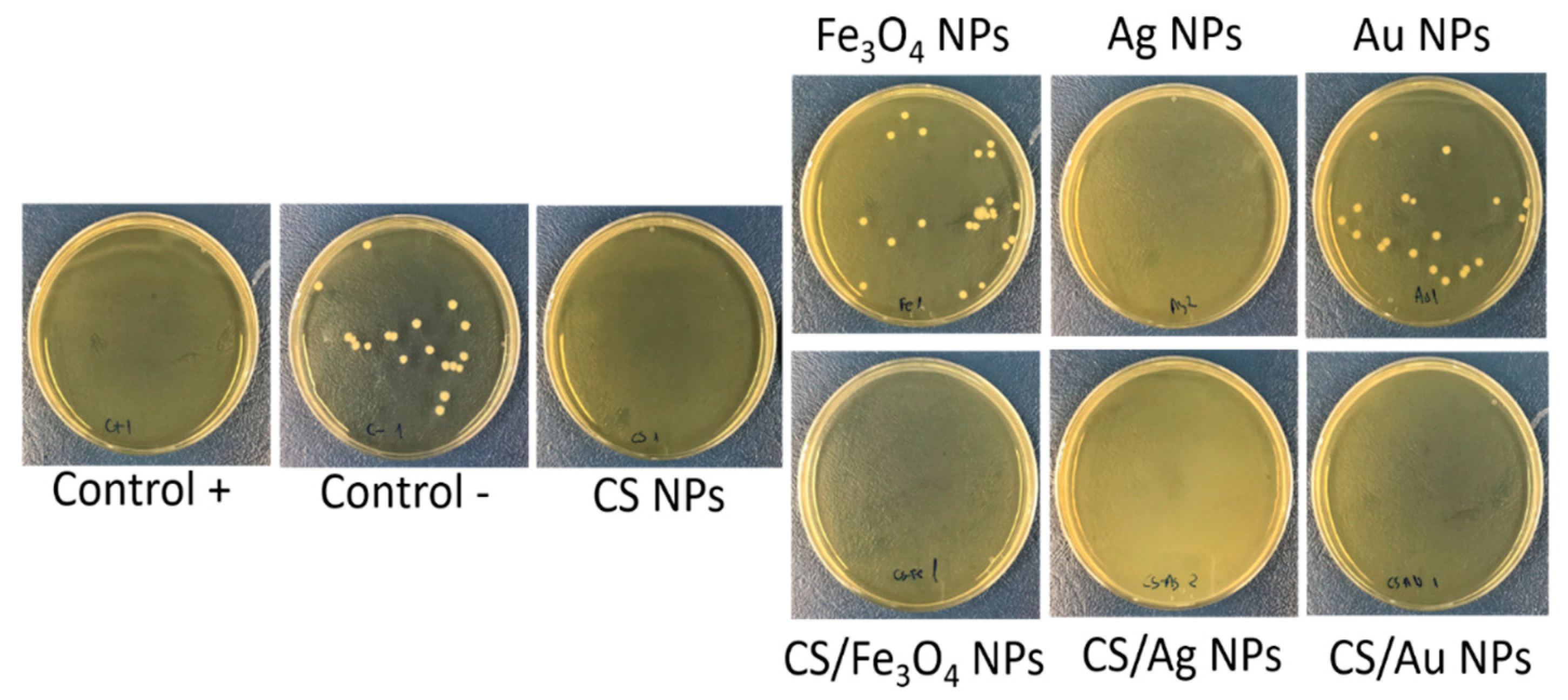 Polymers 13 03910 g005