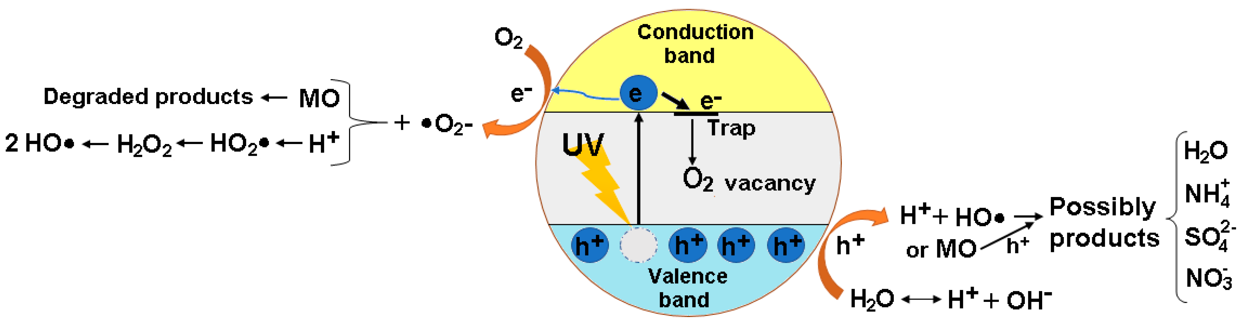 Polymers 13 03911 g008