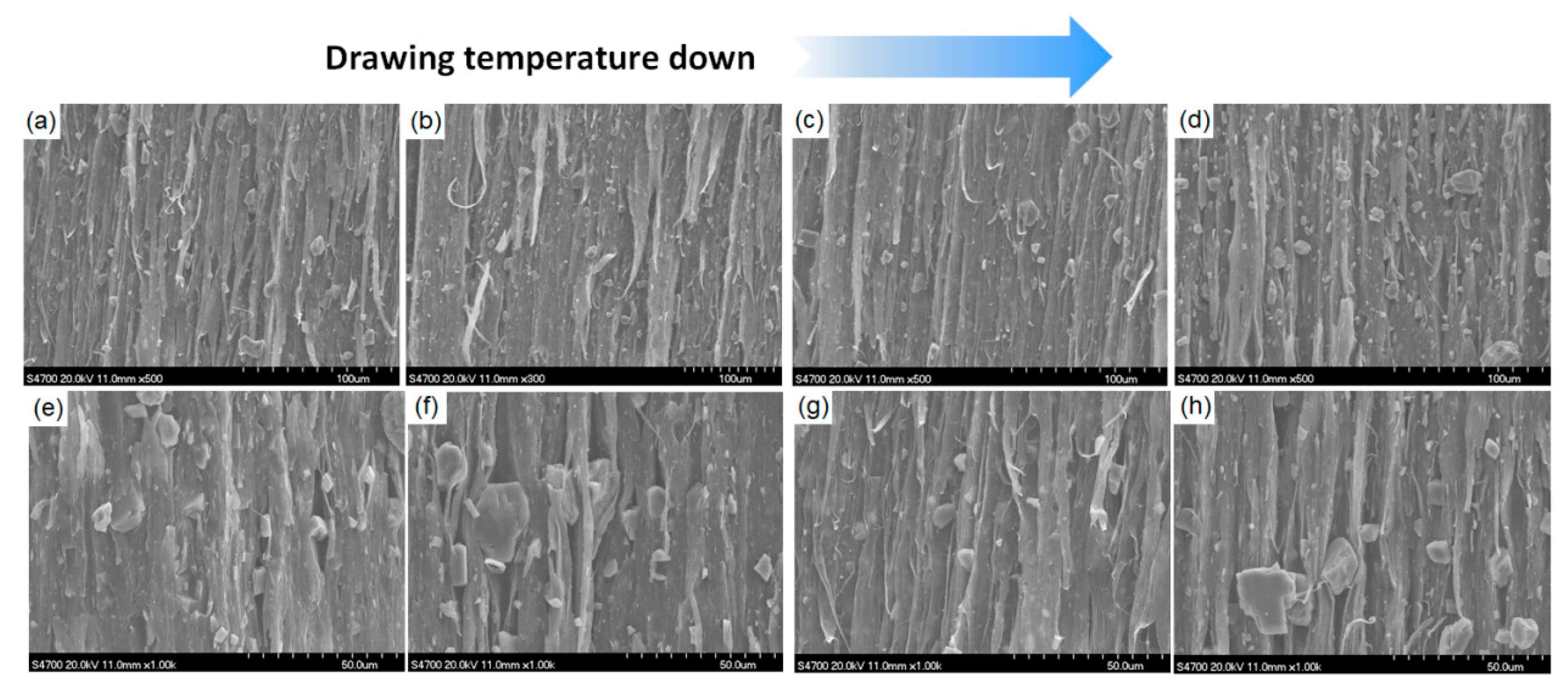 Polymers 13 03913 g007 550