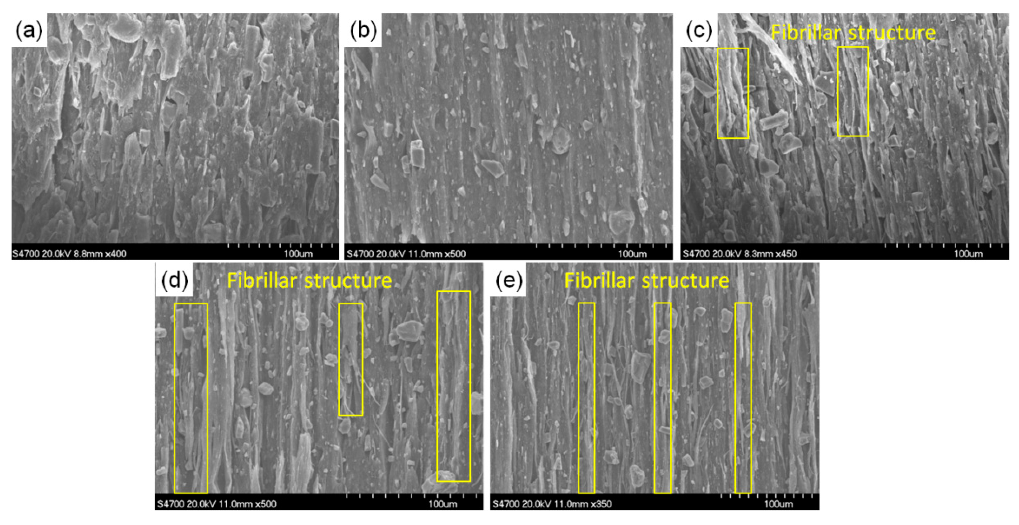 Polymers 13 03913 g010 550