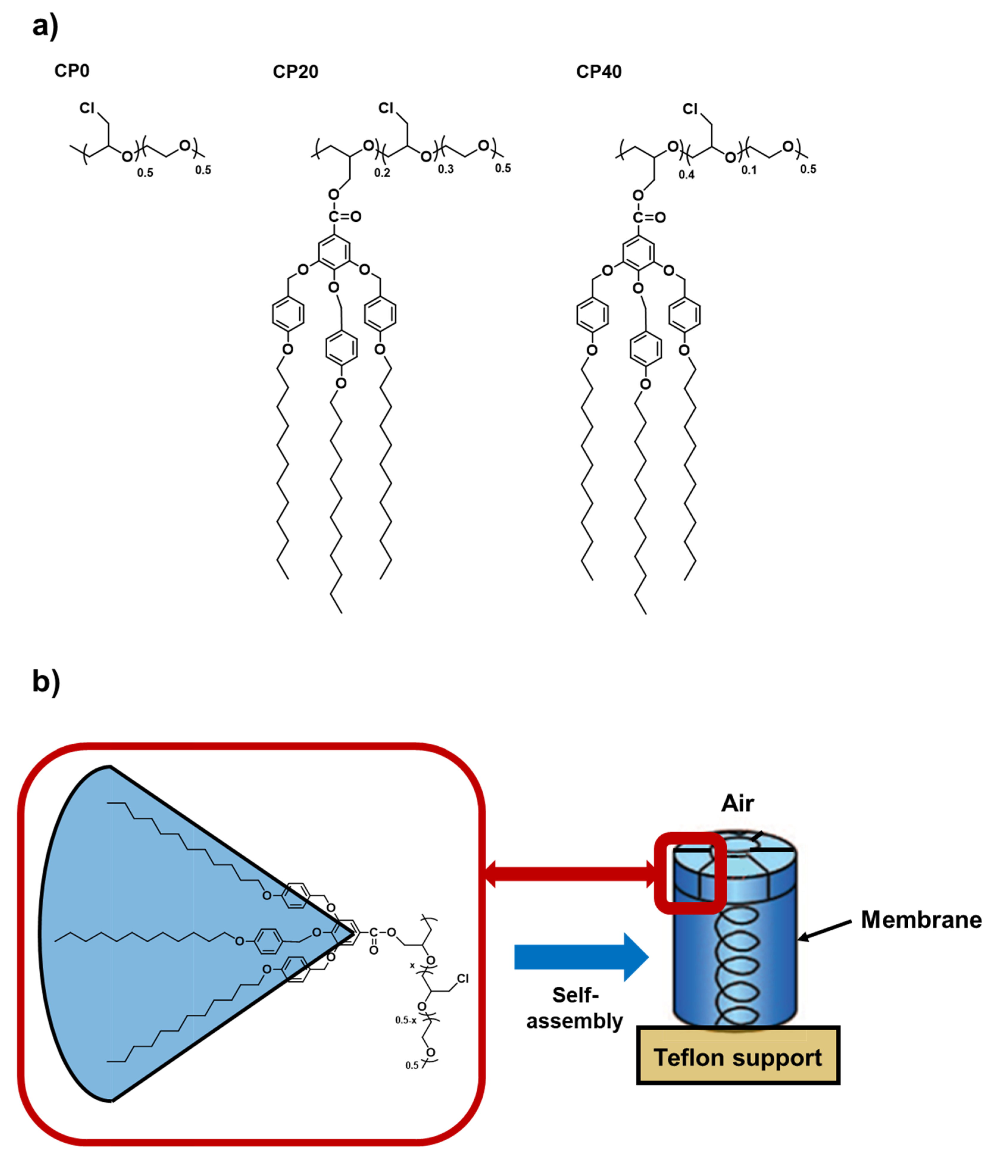 Polymers 13 03915 g001 Polymers 13 03915 g001