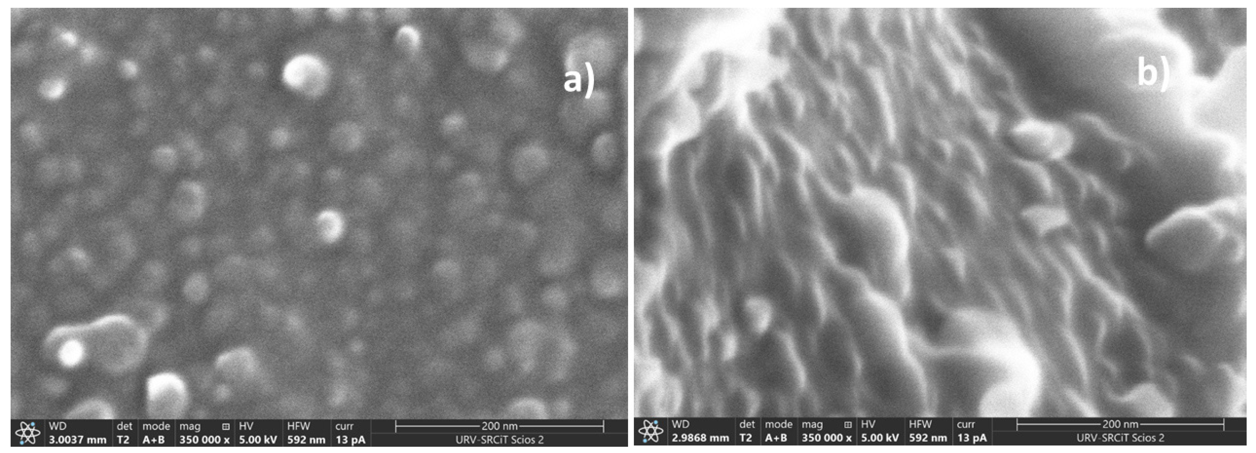 Polymers 13 03915 g003 Polymers 13 03915 g003