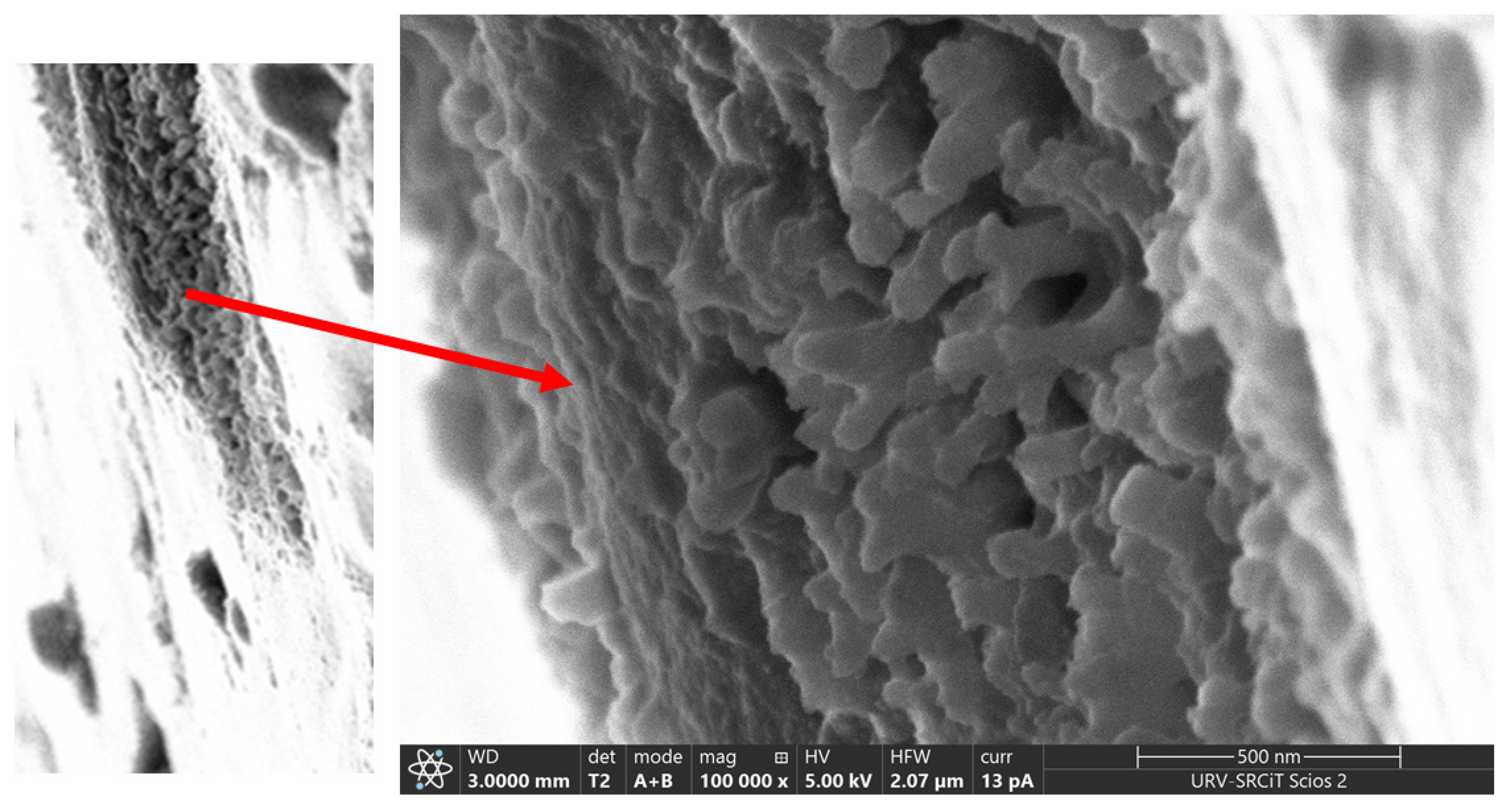 Polymers 13 03915 g004 Polymers 13 03915 g004