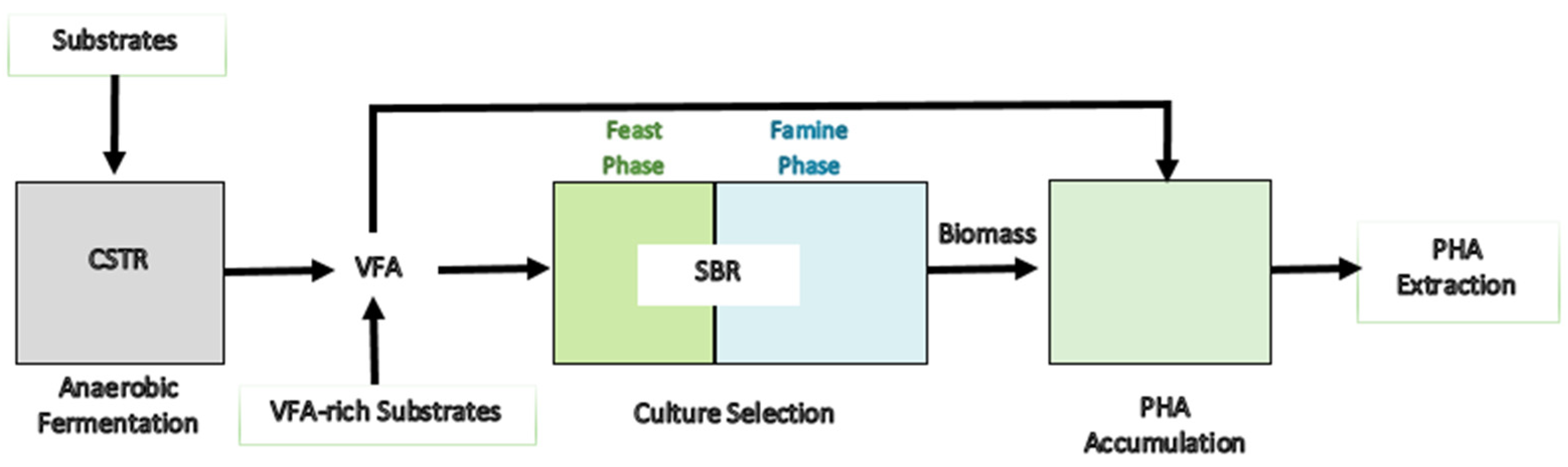 Polymers 13 03917 g004 Polymers 13 03917 g004