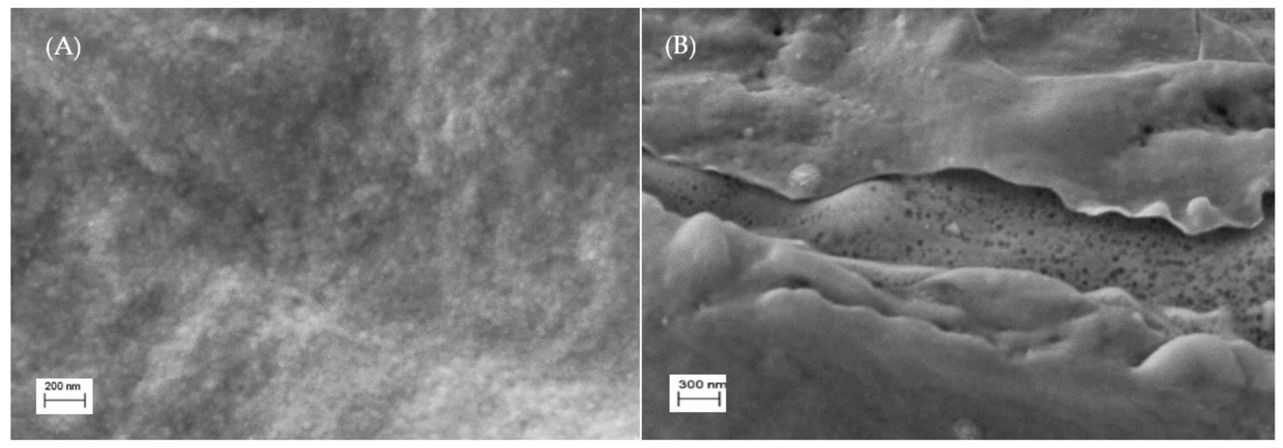 Polymers 13 03924 g003 550