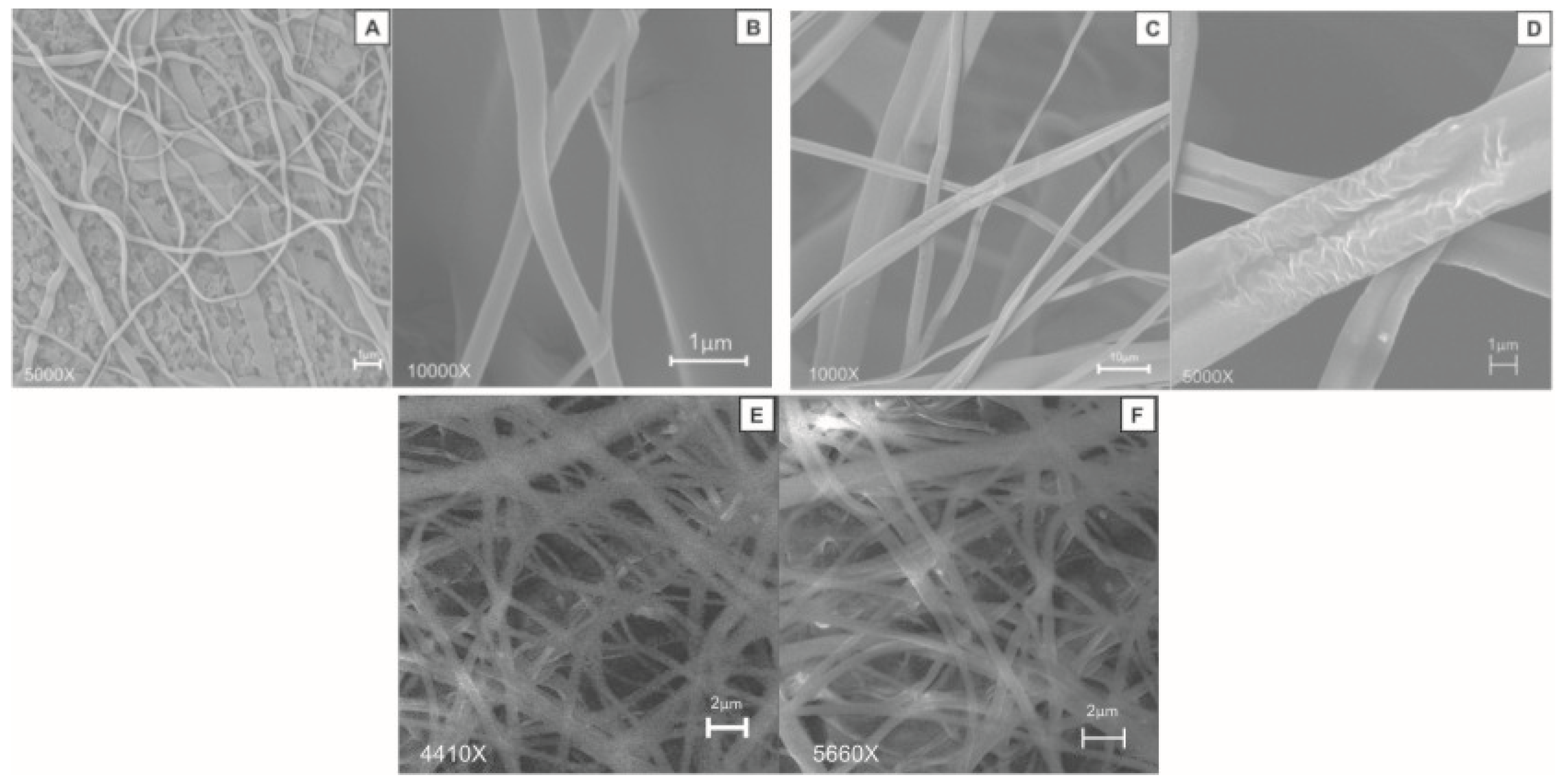 Polymers 13 03927 g002