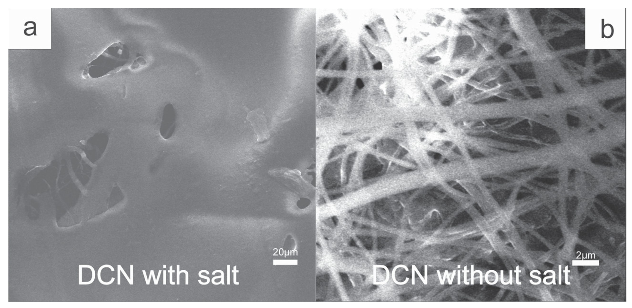 Polymers 13 03927 g005