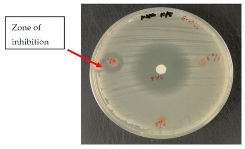 Polymers 13 03928 i001 Polymers 13 03928 i001