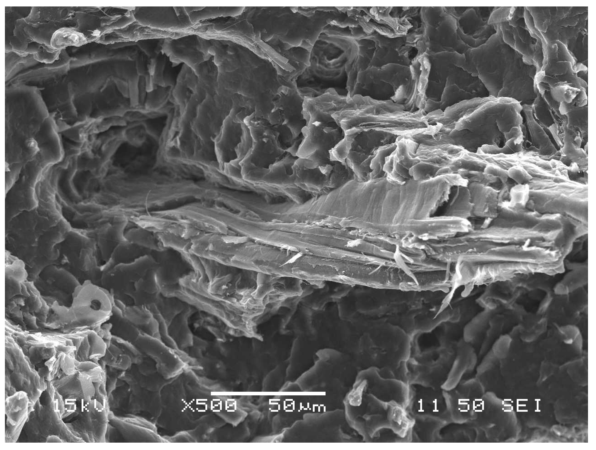 Polymers 13 03931 g008 550