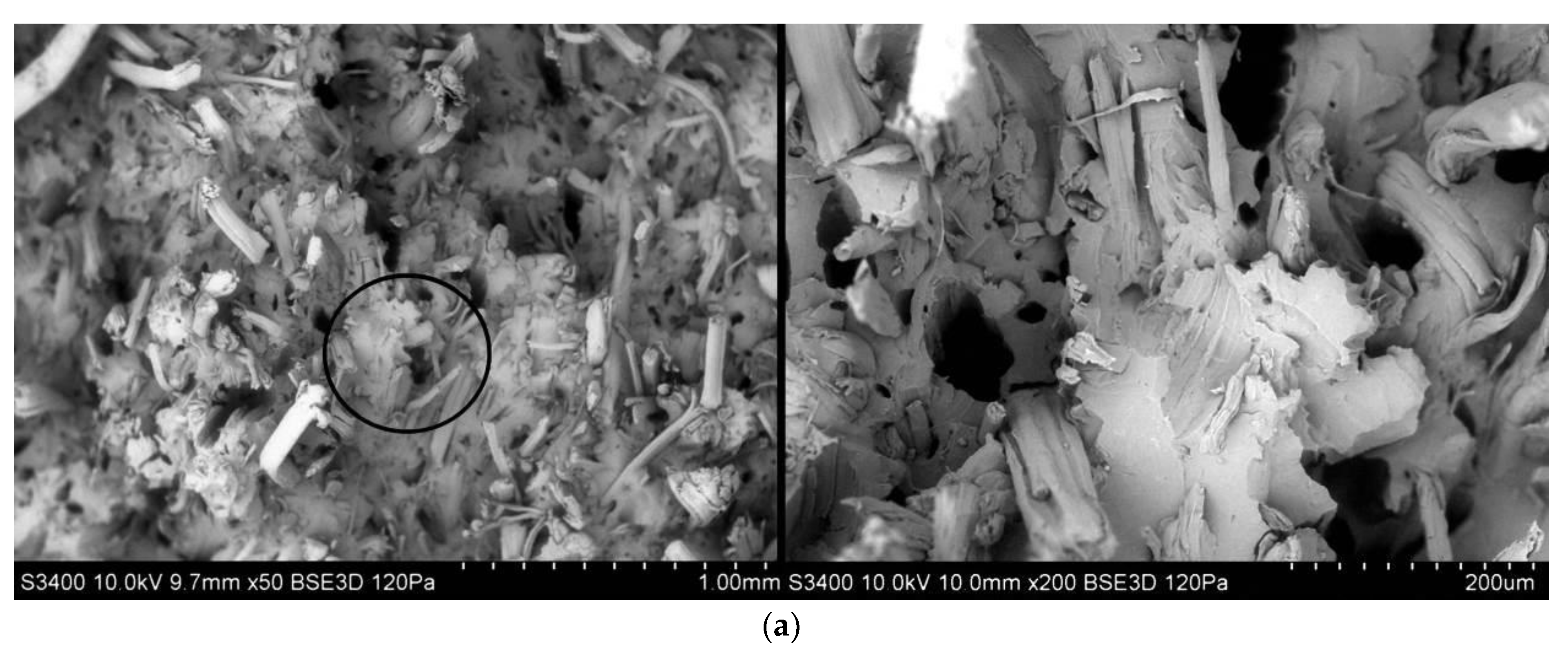 Polymers 13 03934 g010a Polymers 13 03934 g010a