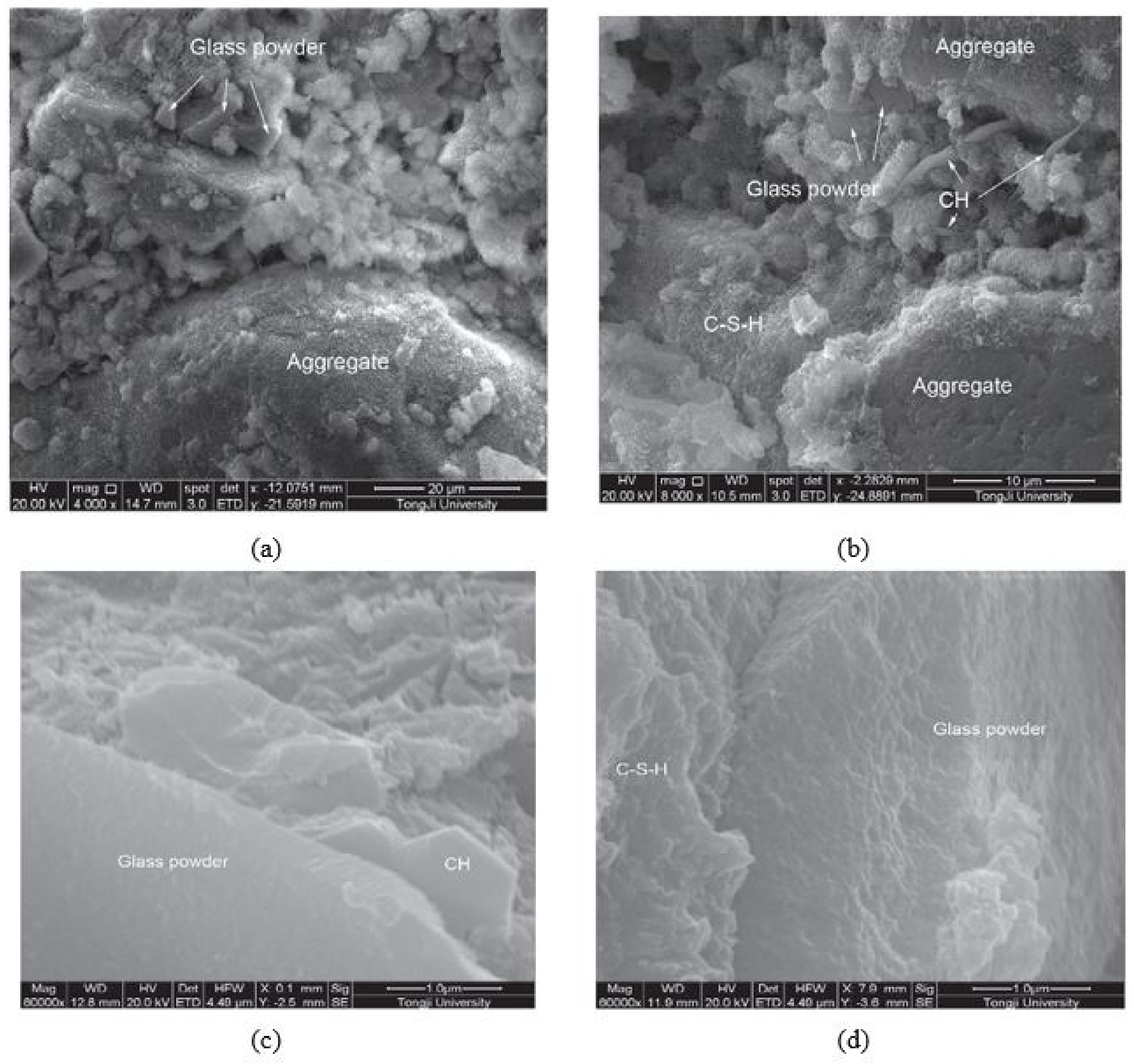 Polymers 13 03935 g010 Polymers 13 03935 g010