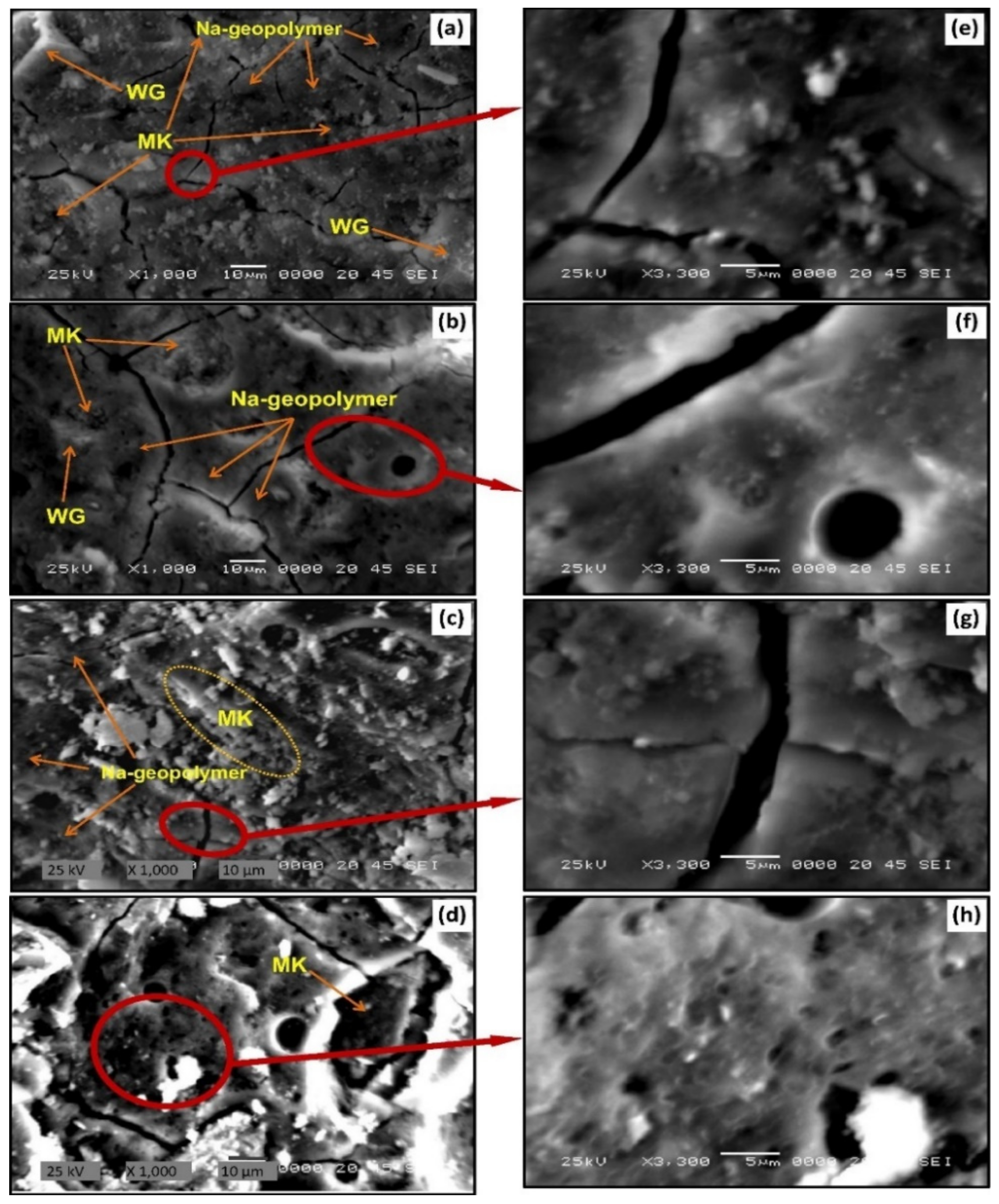 Polymers 13 03935 g021 Polymers 13 03935 g021