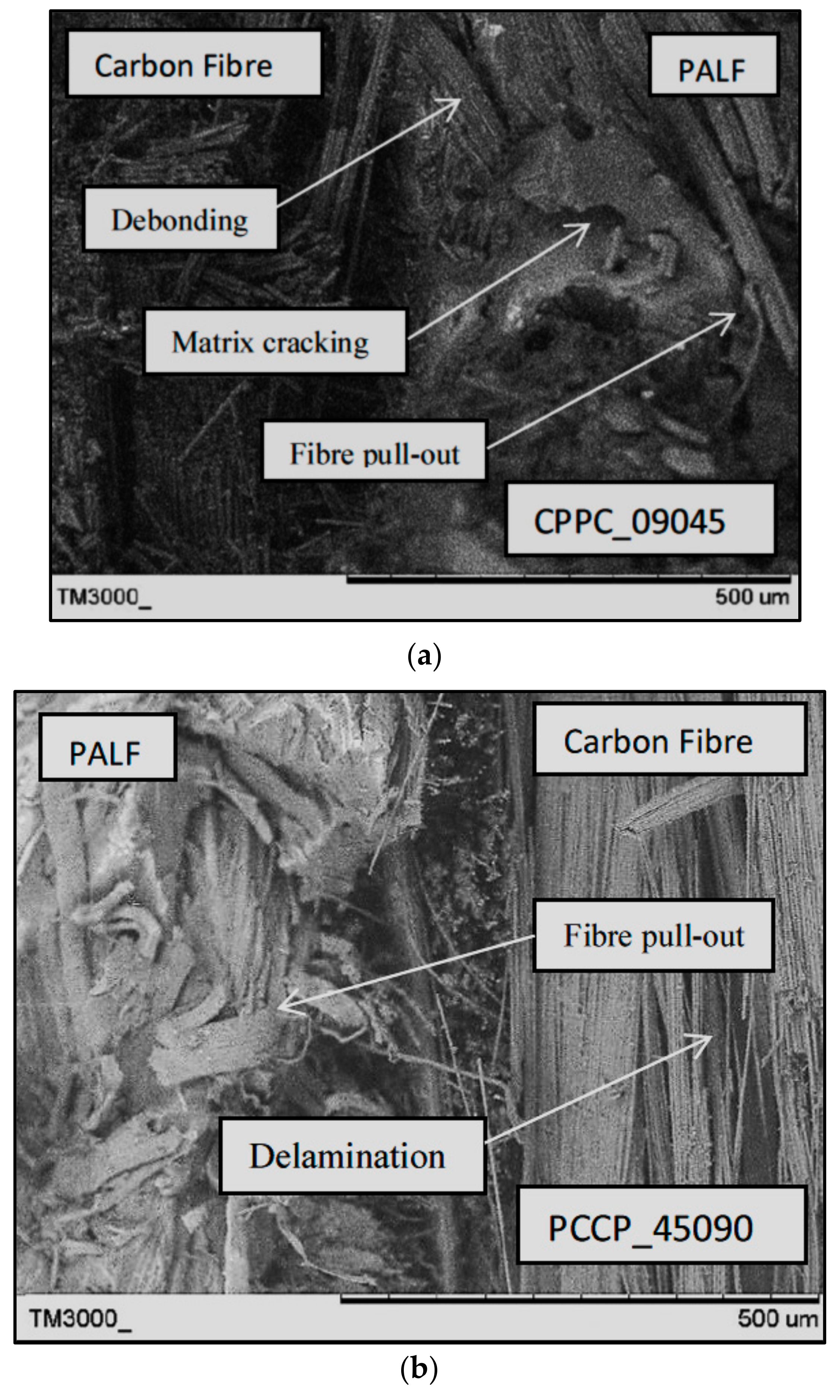 Polymers 13 03936 g010