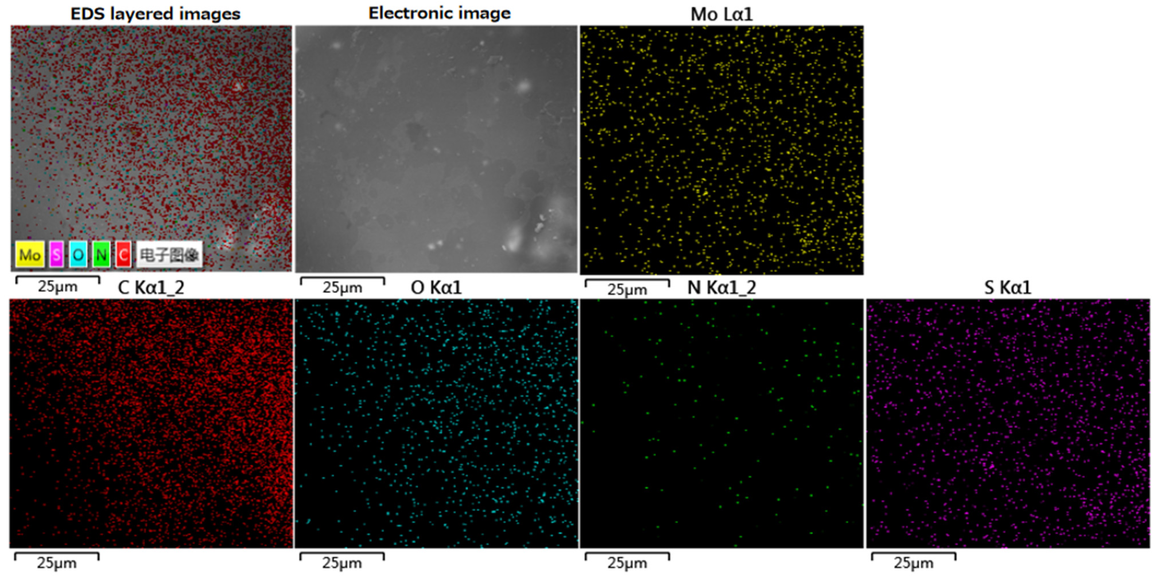 Polymers 13 03937 g002
