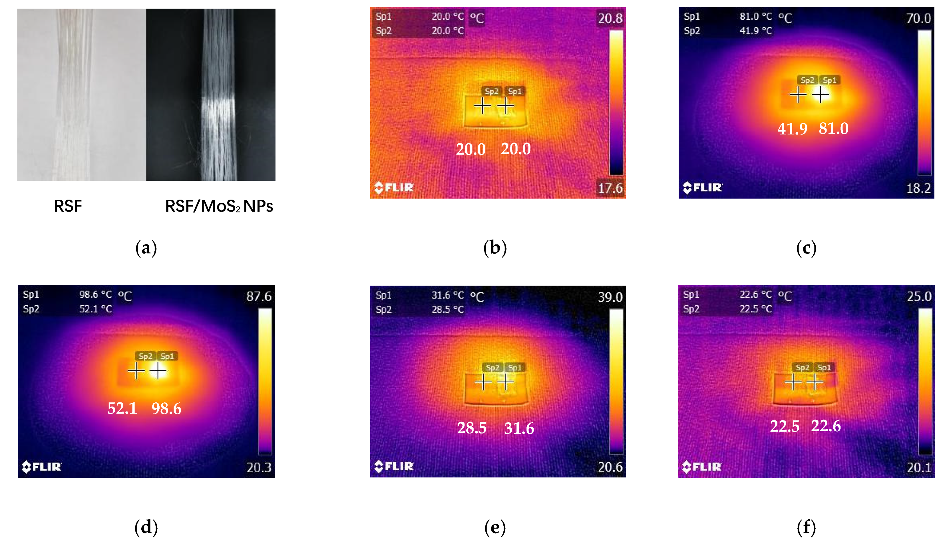 Polymers 13 03937 g008
