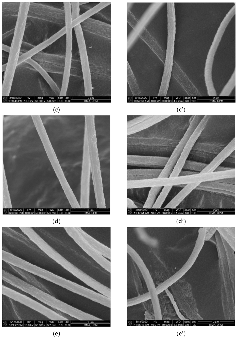 Polymers 13 03938 g003b