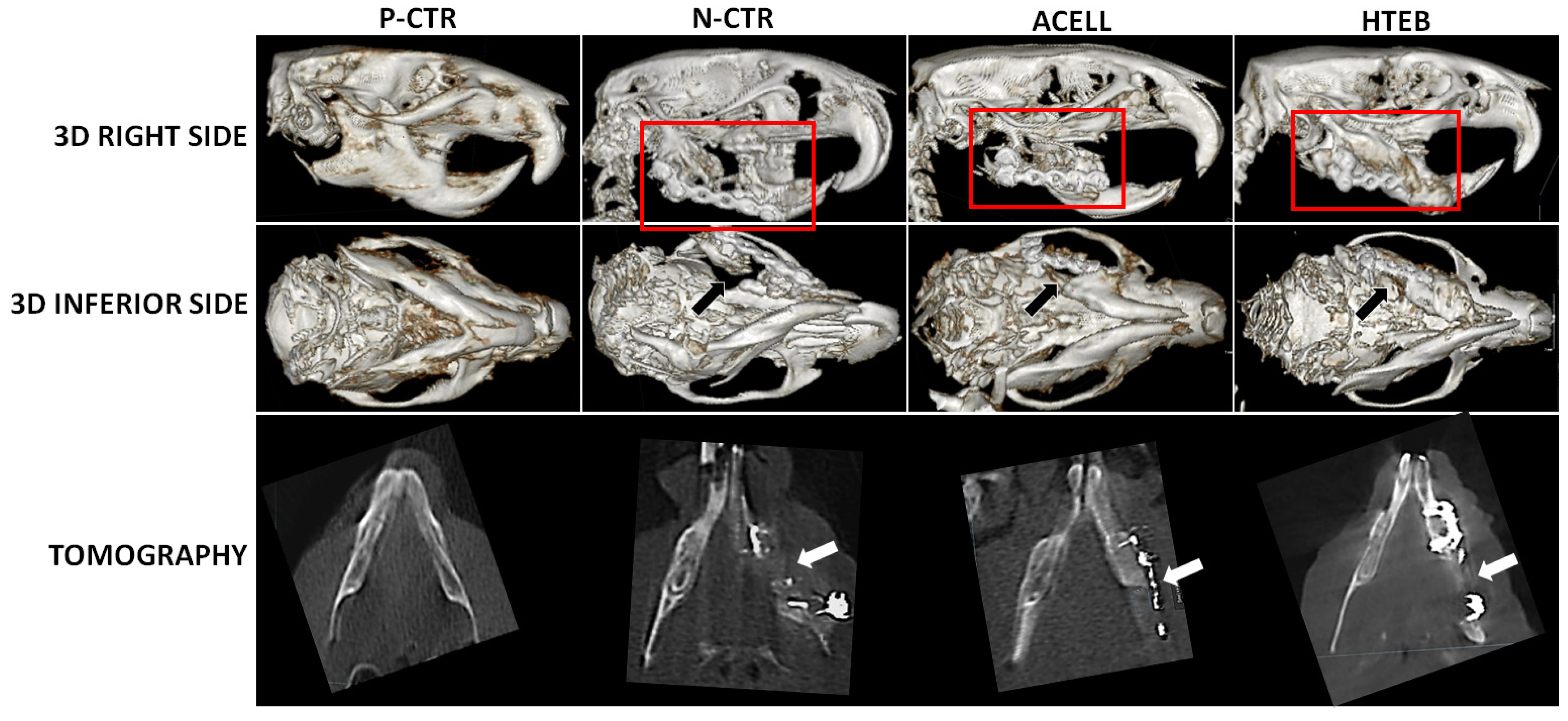 Polymers 13 03939 g002