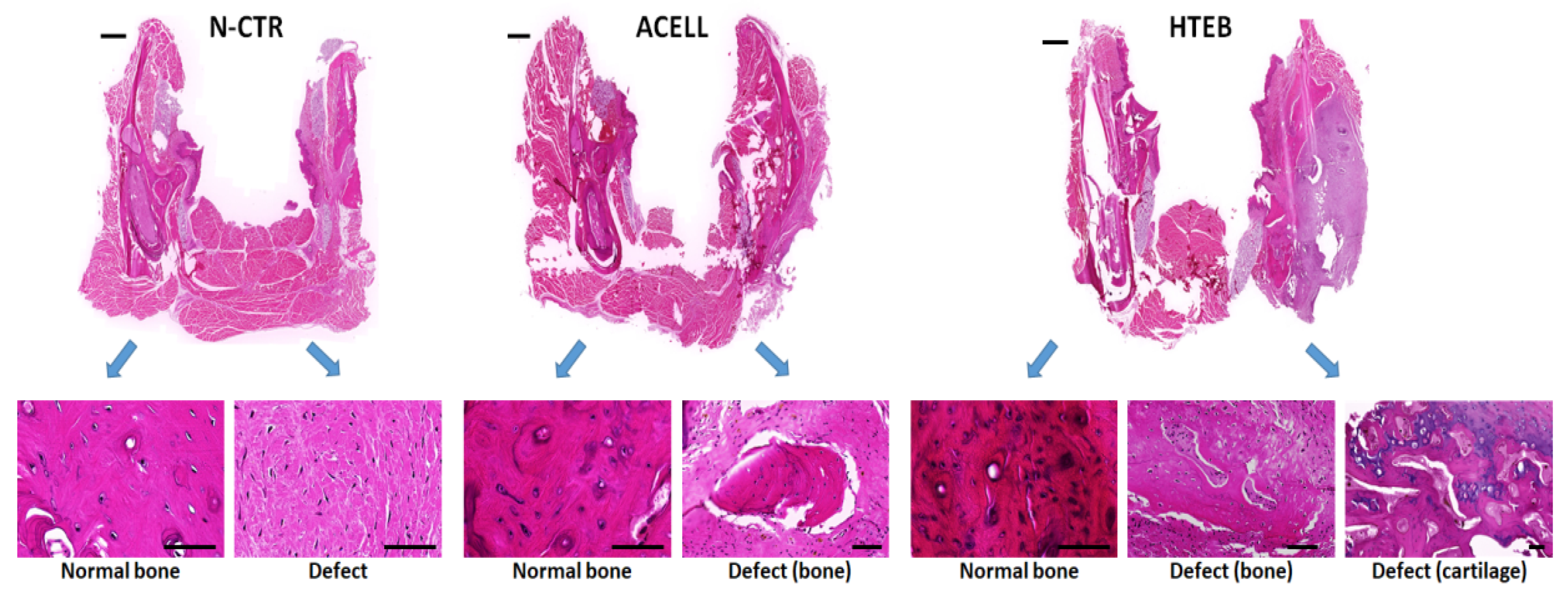 Polymers 13 03939 g004