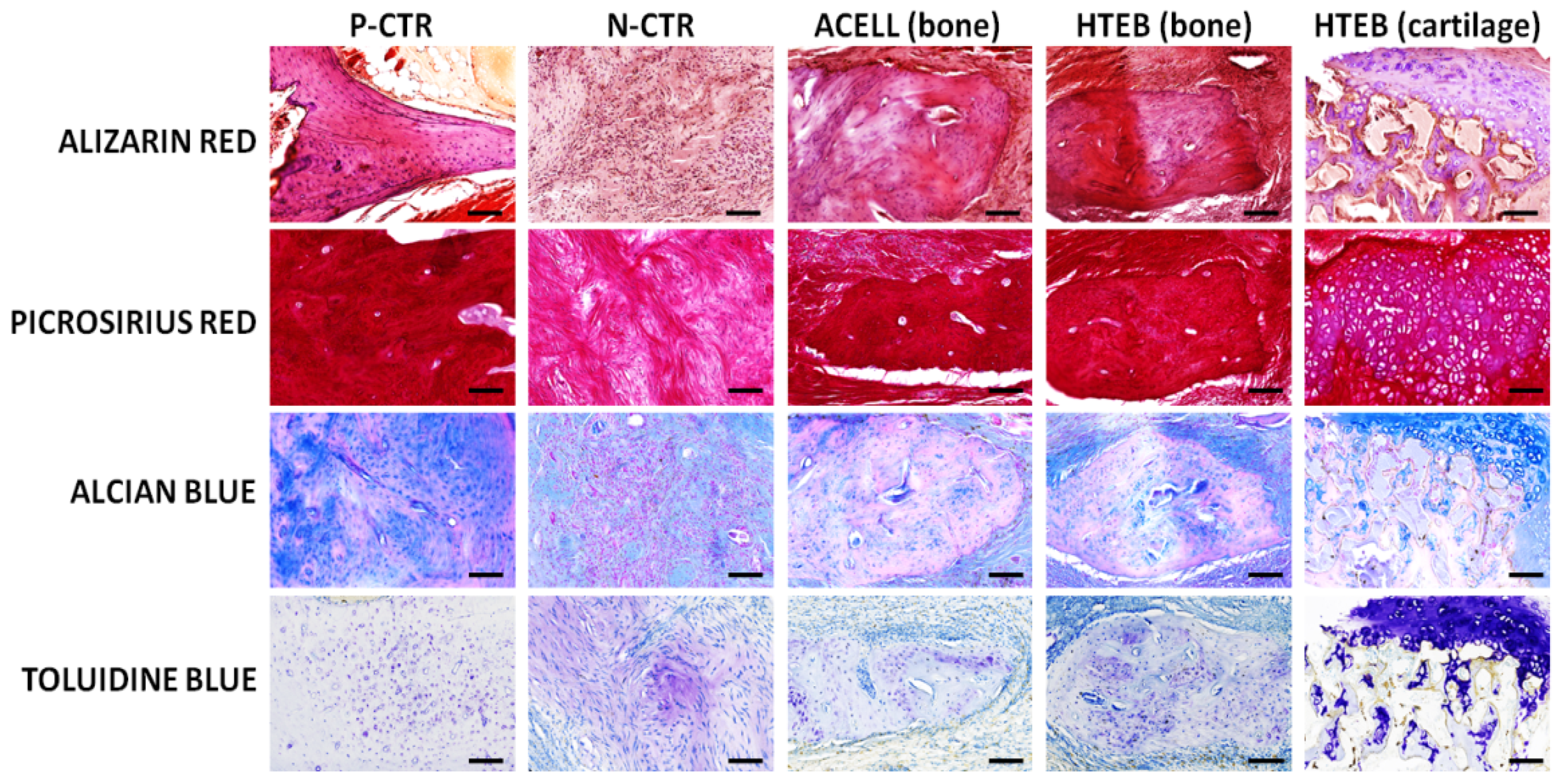 Polymers 13 03939 g005