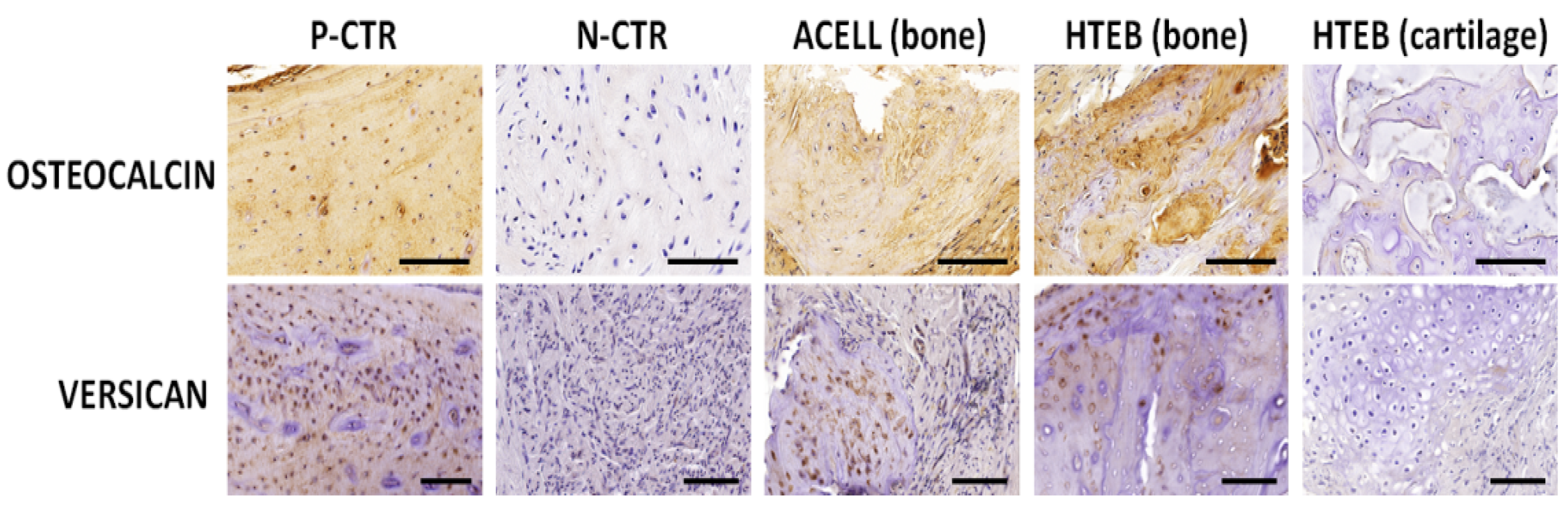 Polymers 13 03939 g006