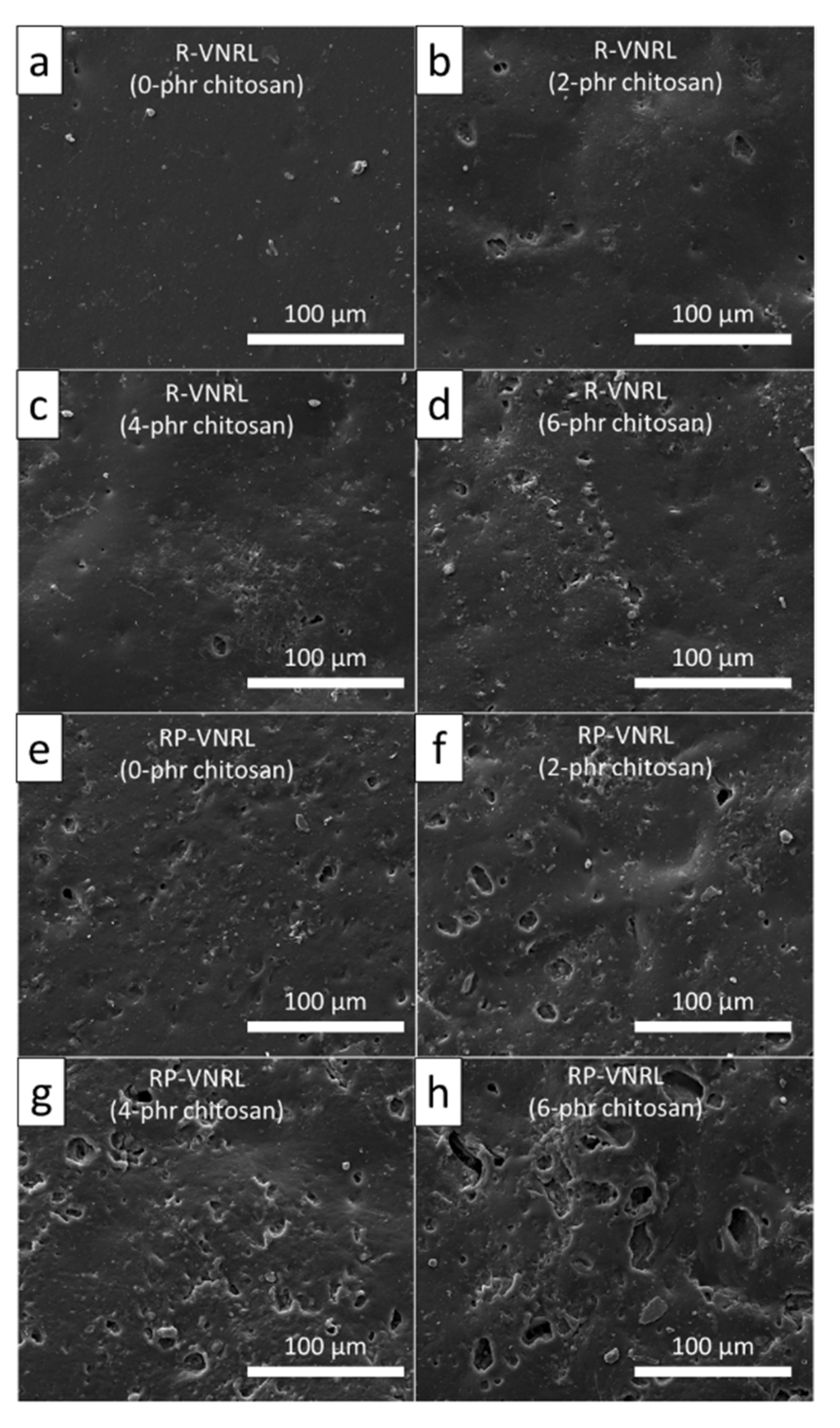 Polymers 13 03940 g008
